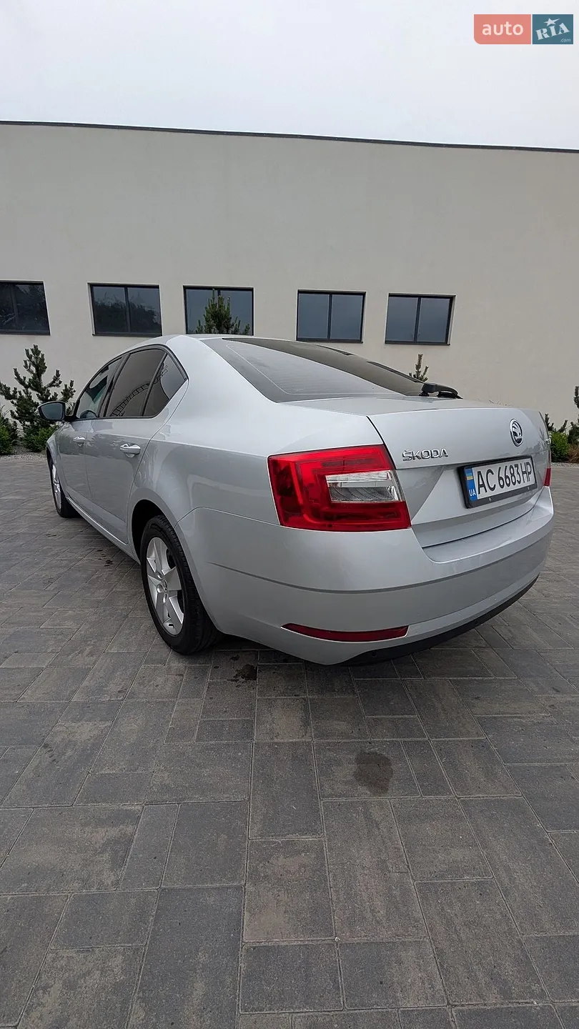 2017 Skoda Octavia - мініатюра 4