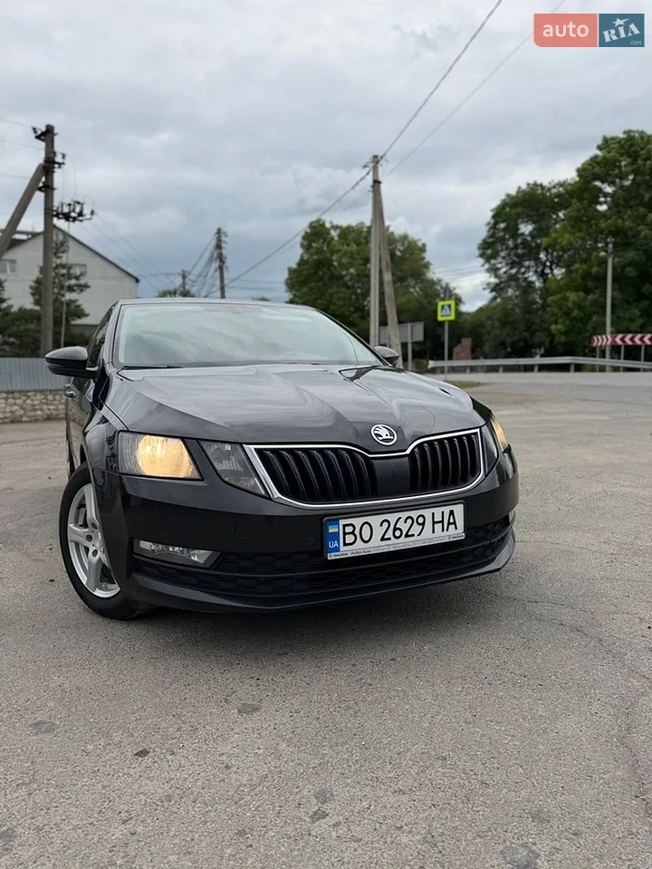 2017 Skoda Octavia - мініатюра 16
