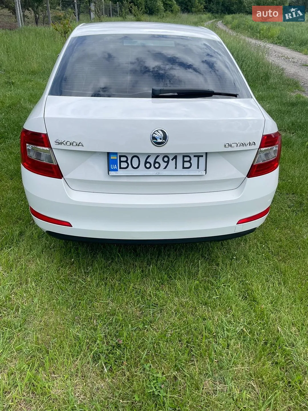 2013 Skoda Octavia - мініатюра 6