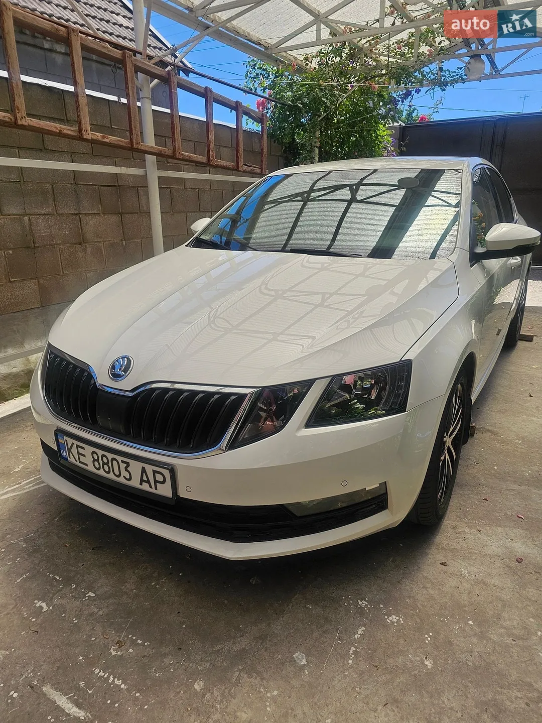 2018 Skoda Octavia - мініатюра 23
