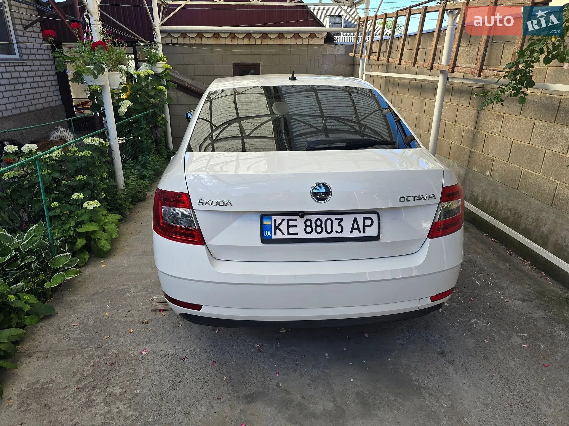 2018 Skoda Octavia - мініатюра 3