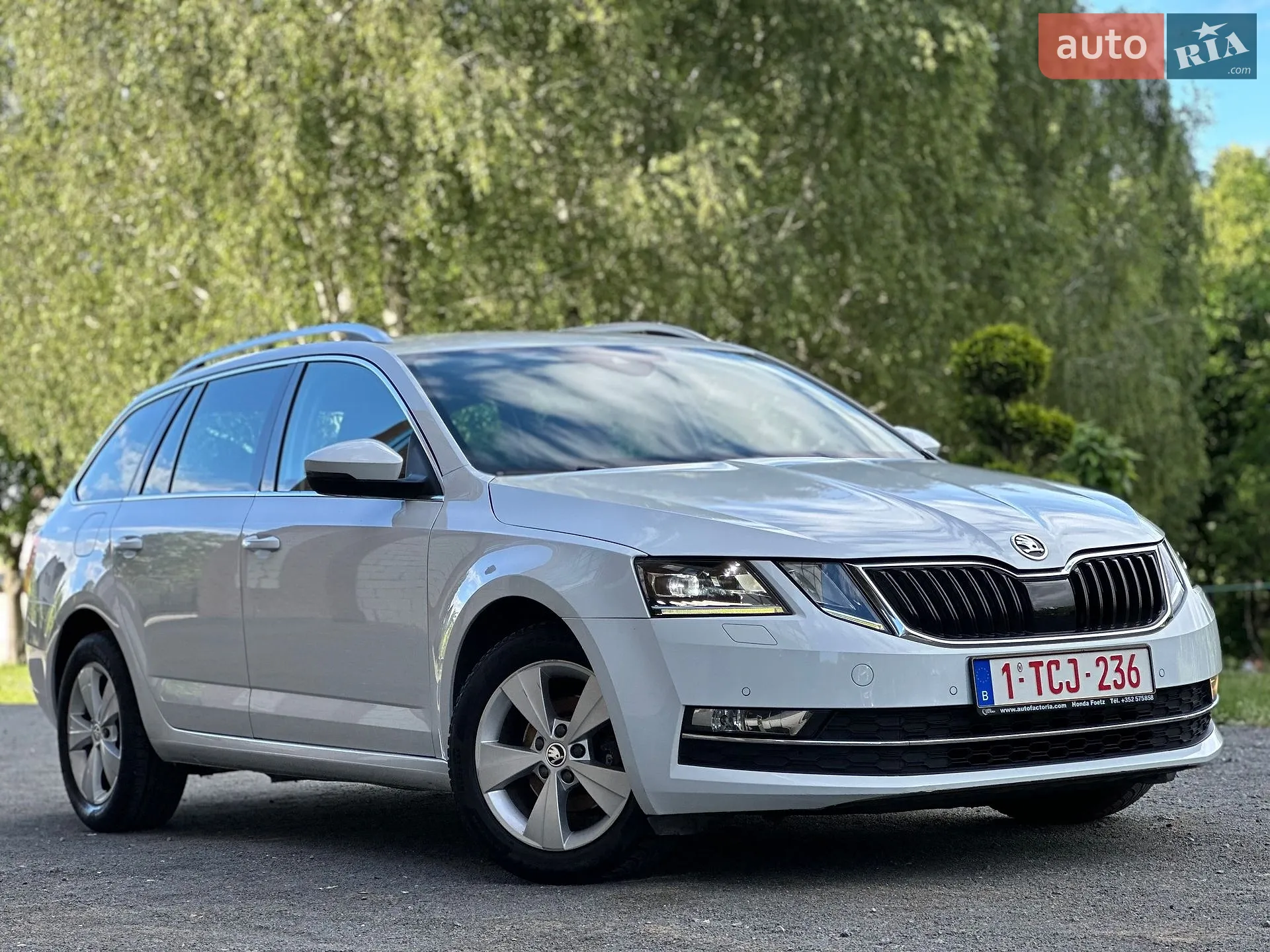 2019 Skoda Octavia - фото 1
