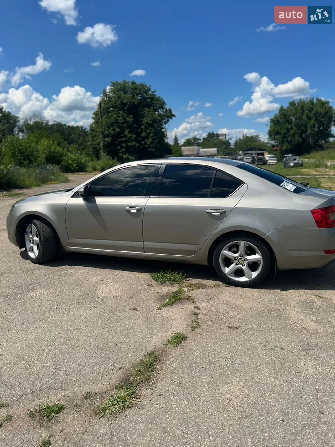 2017 Skoda Octavia - мініатюра 8
