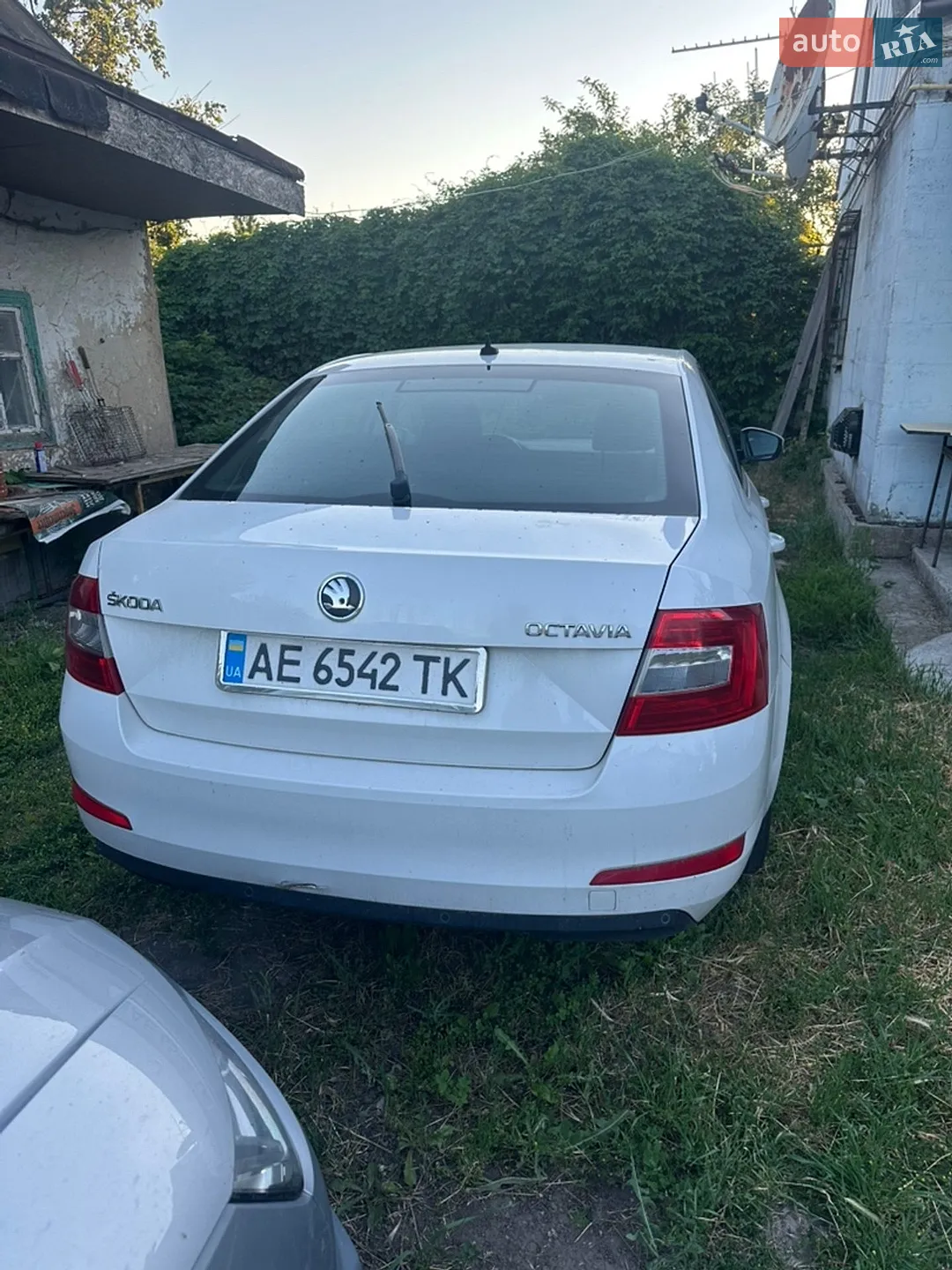 2013 Skoda Octavia - мініатюра 4