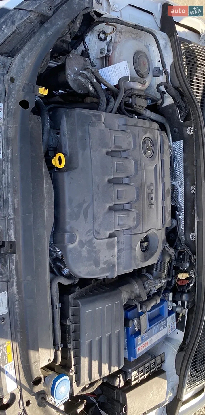 2019 Skoda Octavia - мініатюра 10