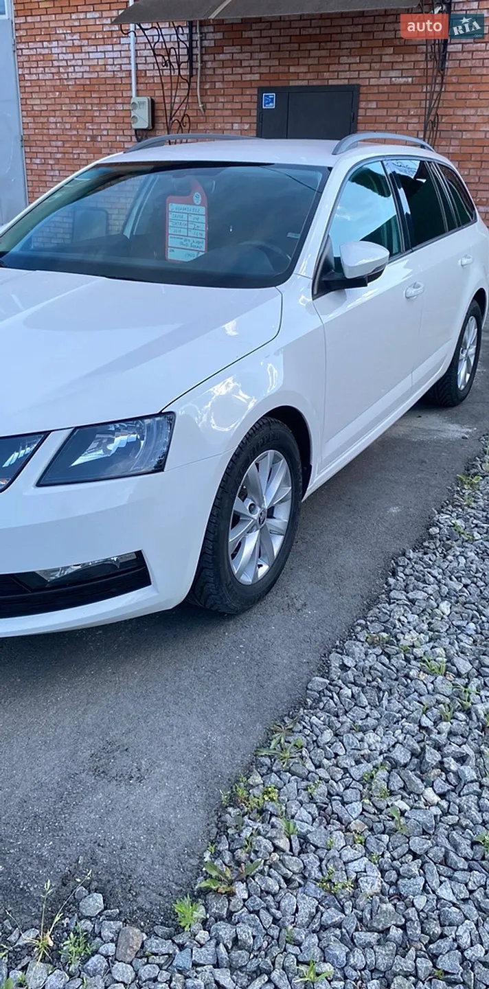 2019 Skoda Octavia - мініатюра 14
