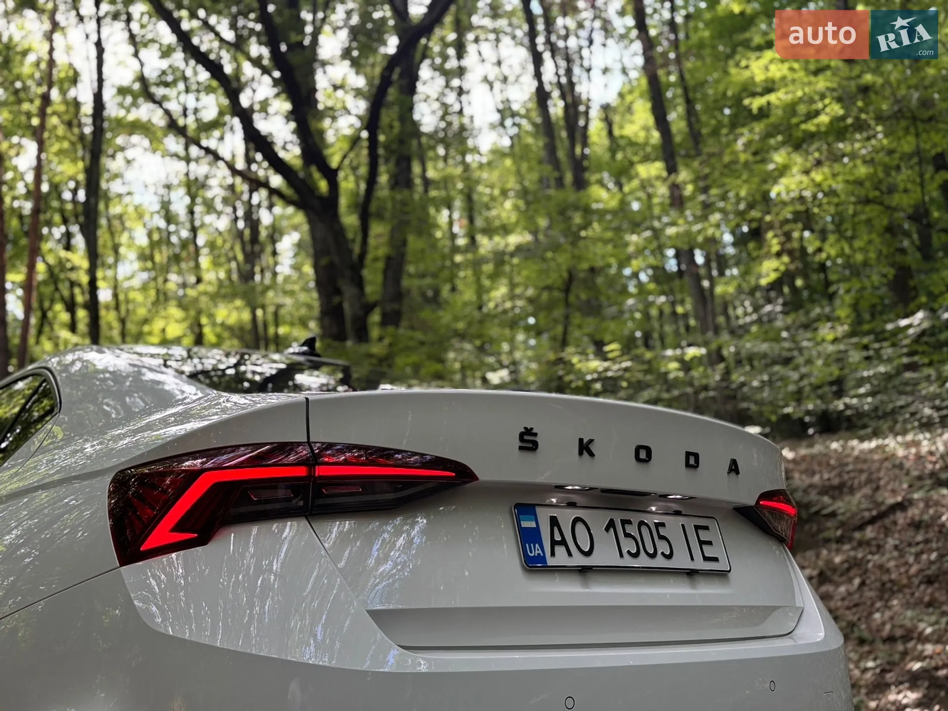2020 Skoda Octavia - мініатюра 13