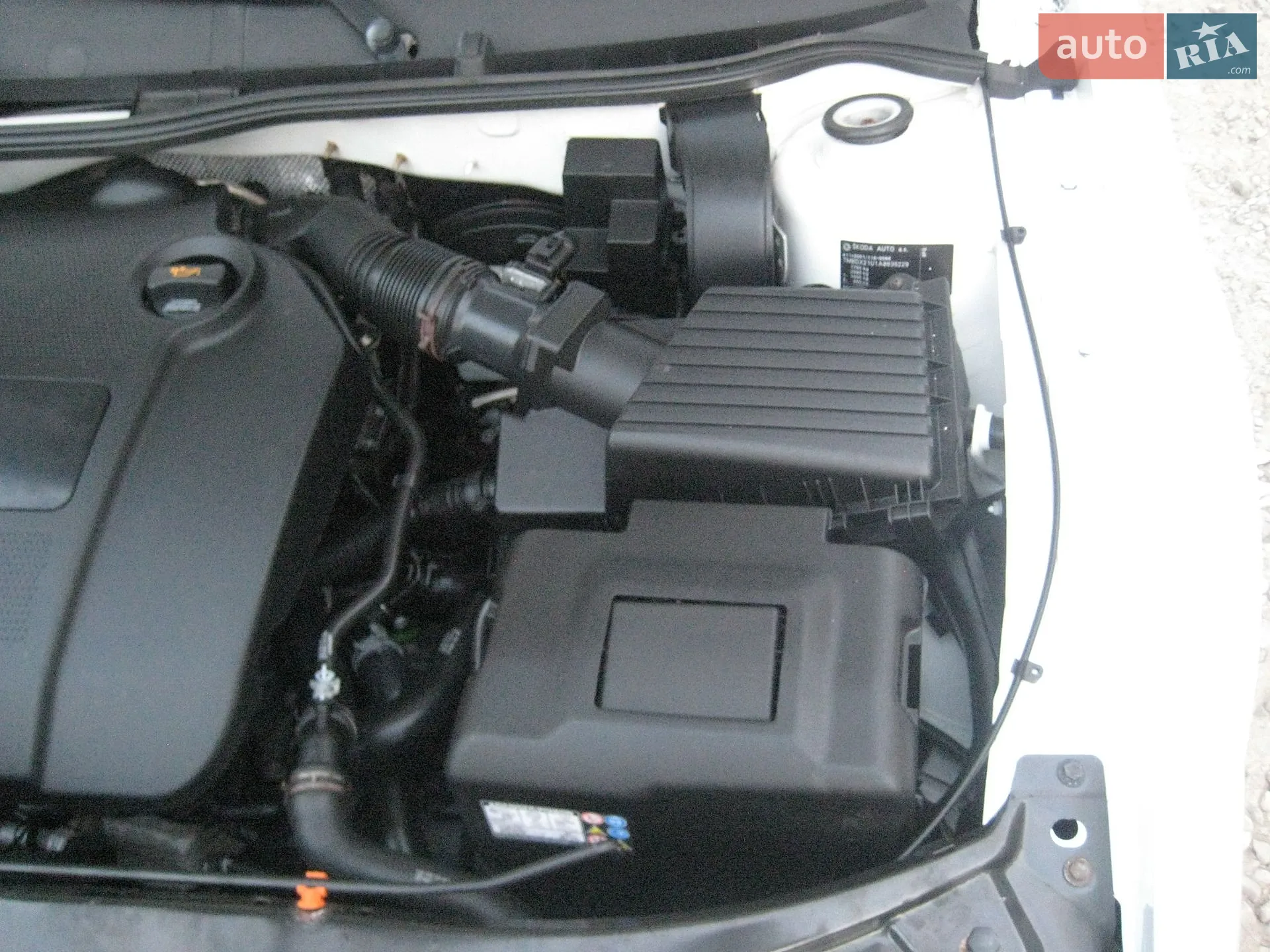 Skoda Octavia 2009 VIN TMBDX21U1A8835229 фото оголошення 18 з 21