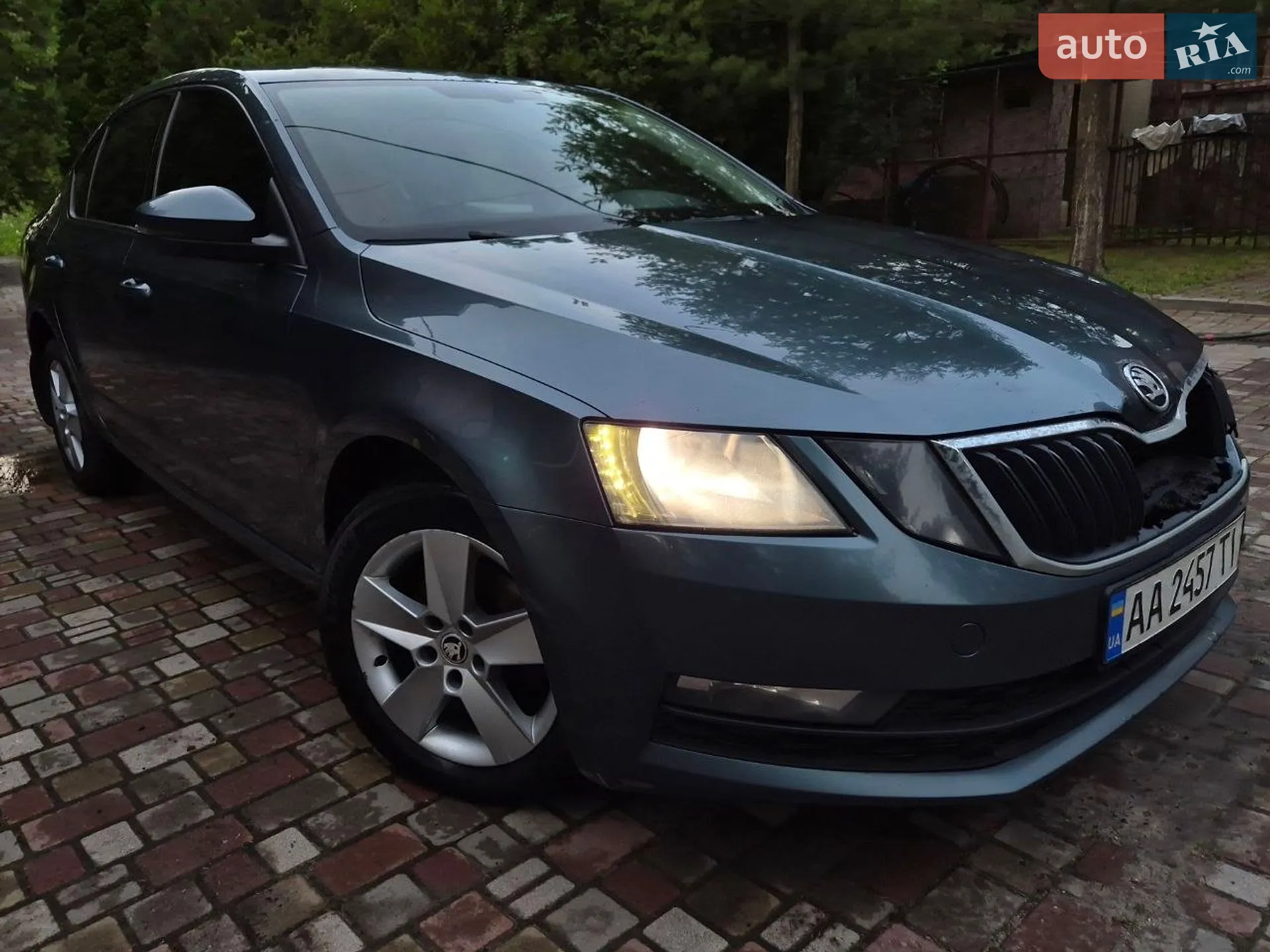 2018 Skoda Octavia - фото 1