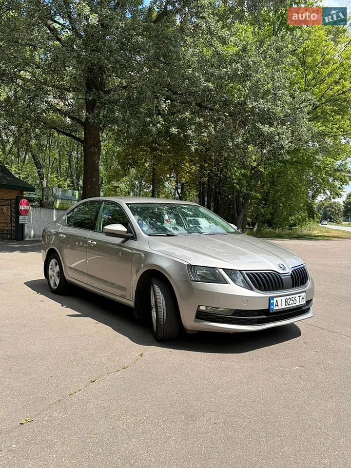 2018 Skoda Octavia - мініатюра 24