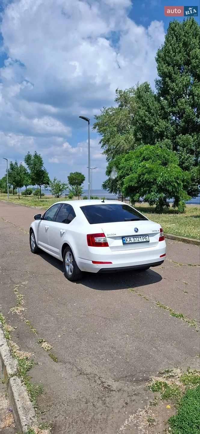 2016 Skoda Octavia - мініатюра 5