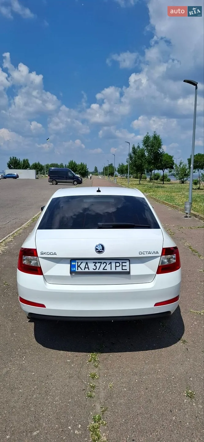 2016 Skoda Octavia - мініатюра 4