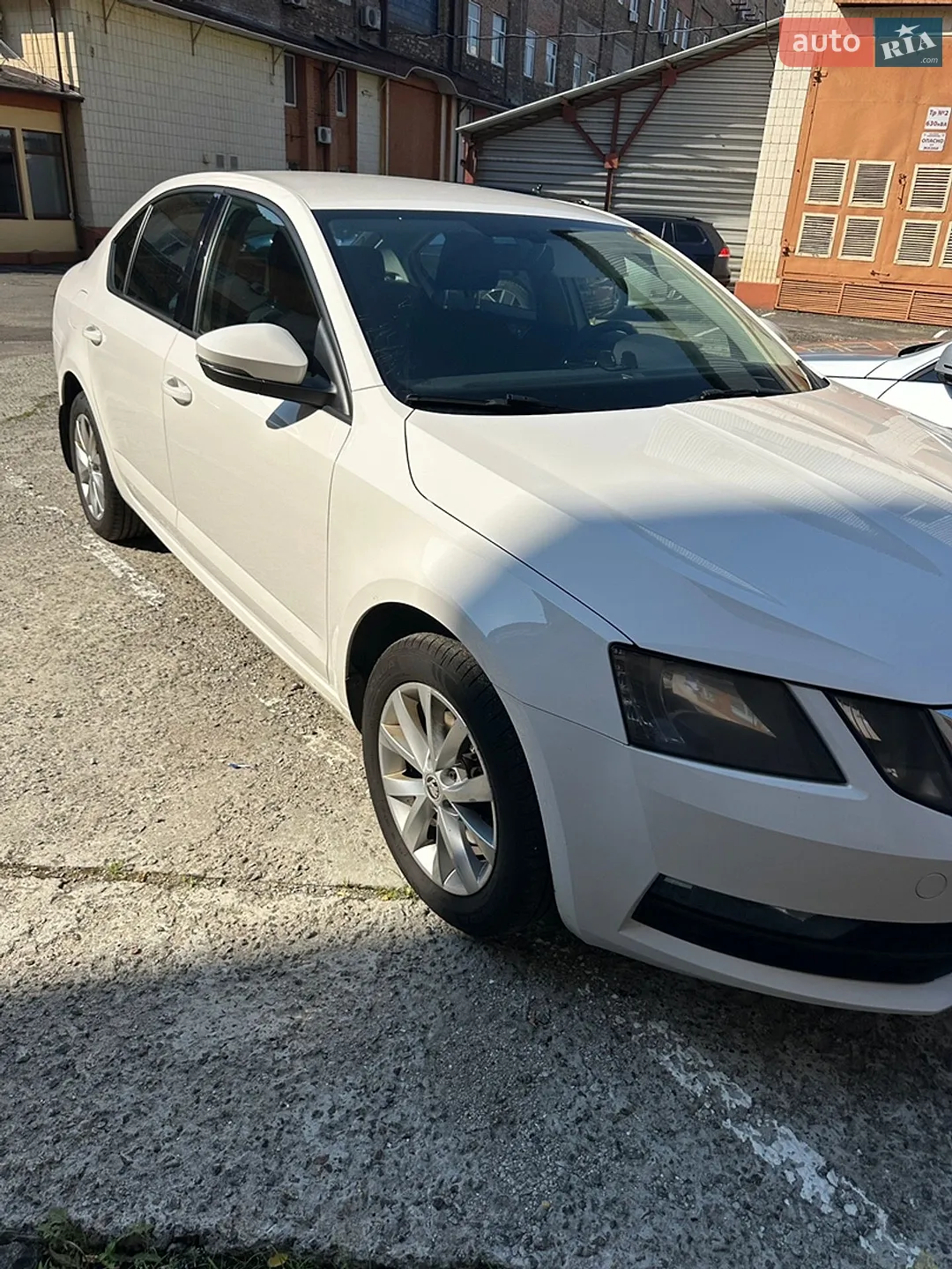 2019 Skoda Octavia - мініатюра 5