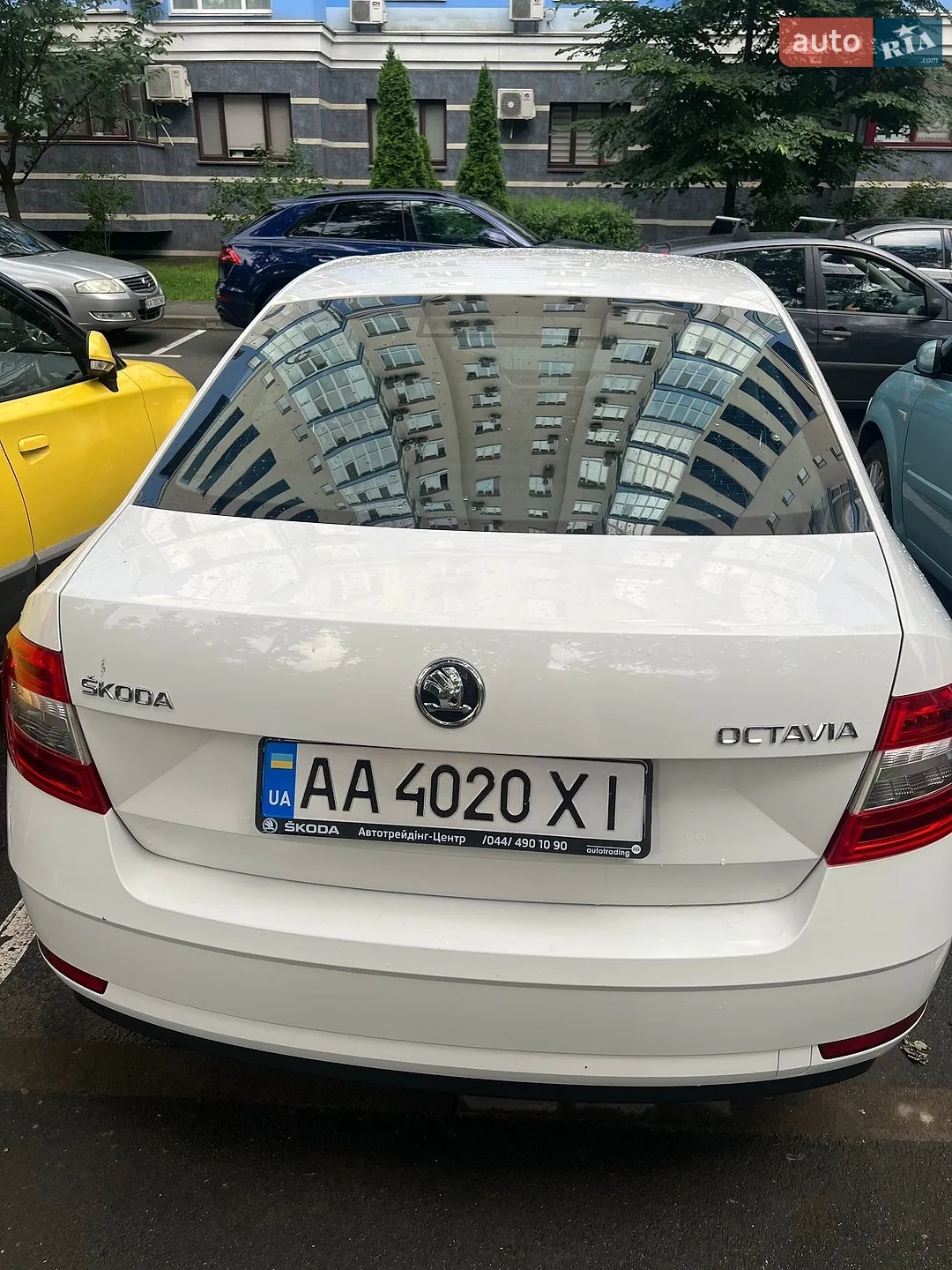 2018 Skoda Octavia - мініатюра 5