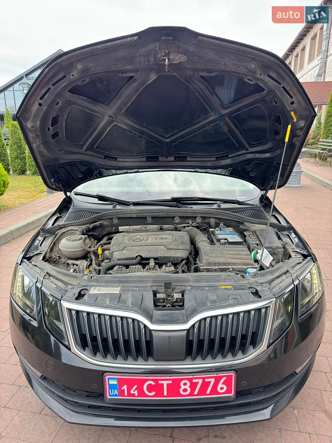 2017 Skoda Octavia - мініатюра 61