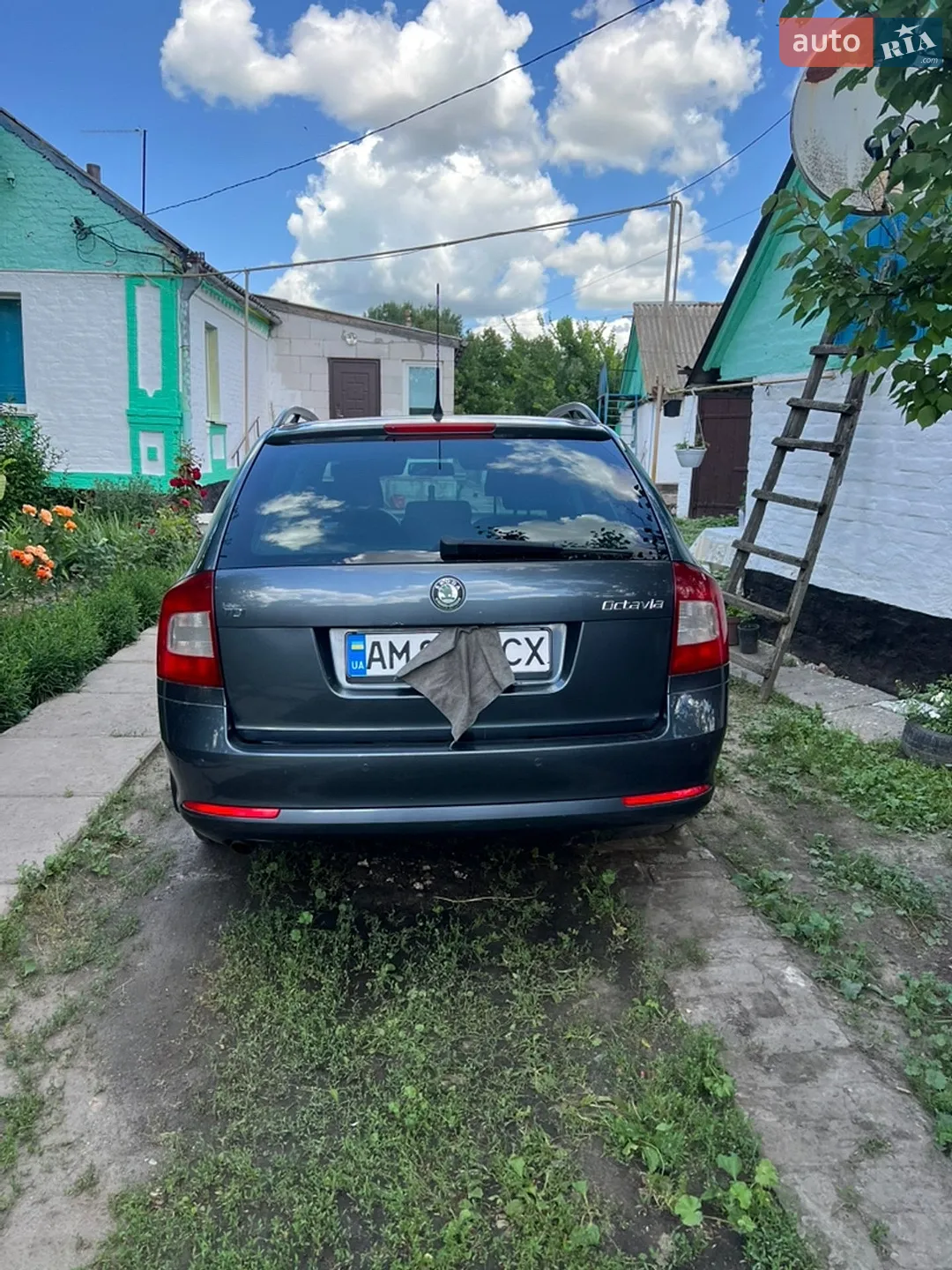 2010 Skoda Octavia - мініатюра 7