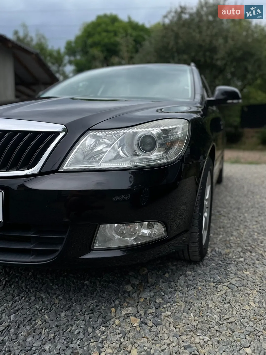 2010 Skoda Octavia - мініатюра 11