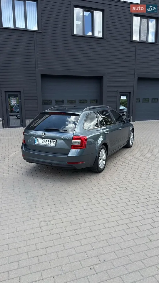 2019 Skoda Octavia - мініатюра 25