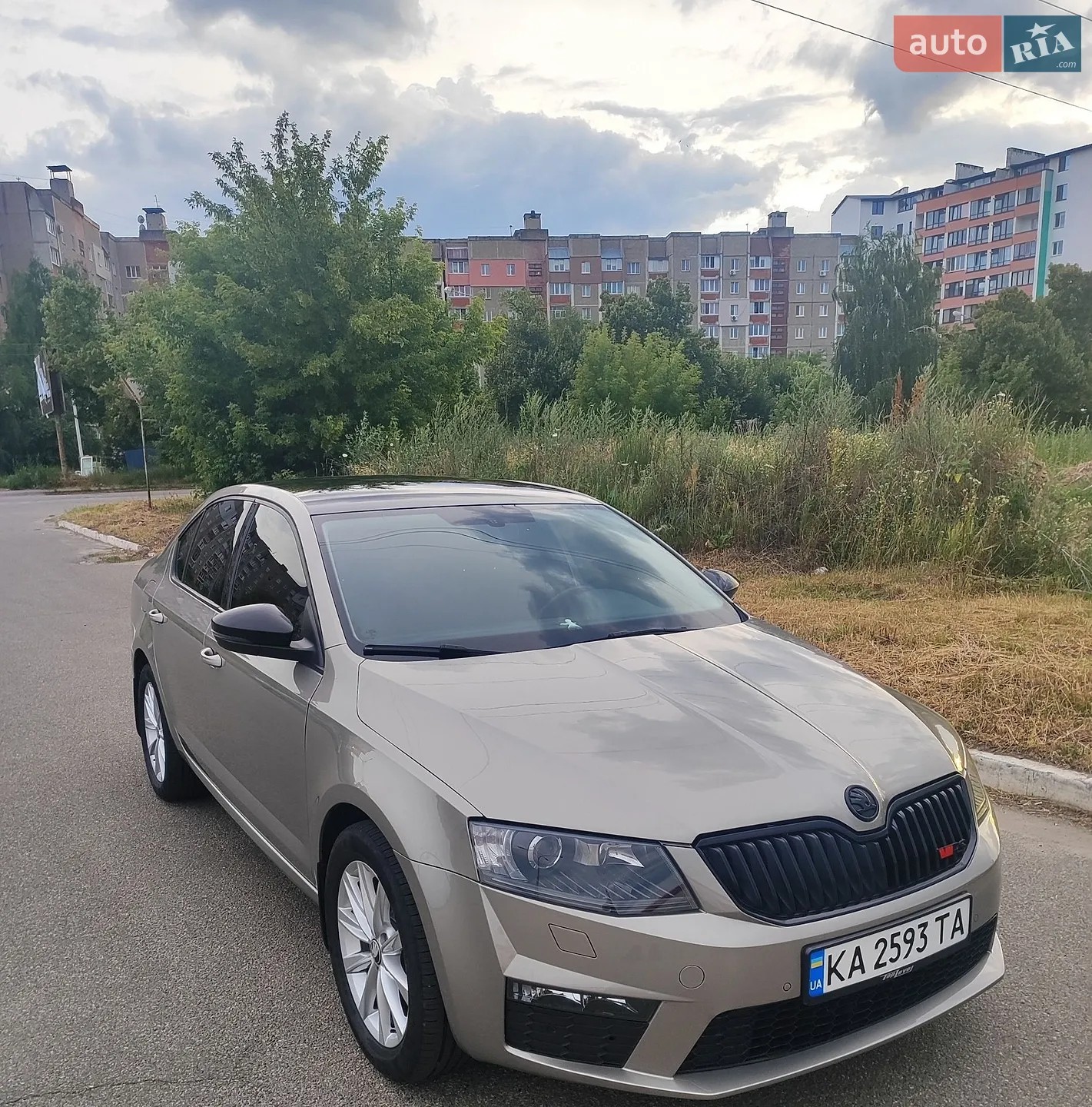 2013 Skoda Octavia - мініатюра 2