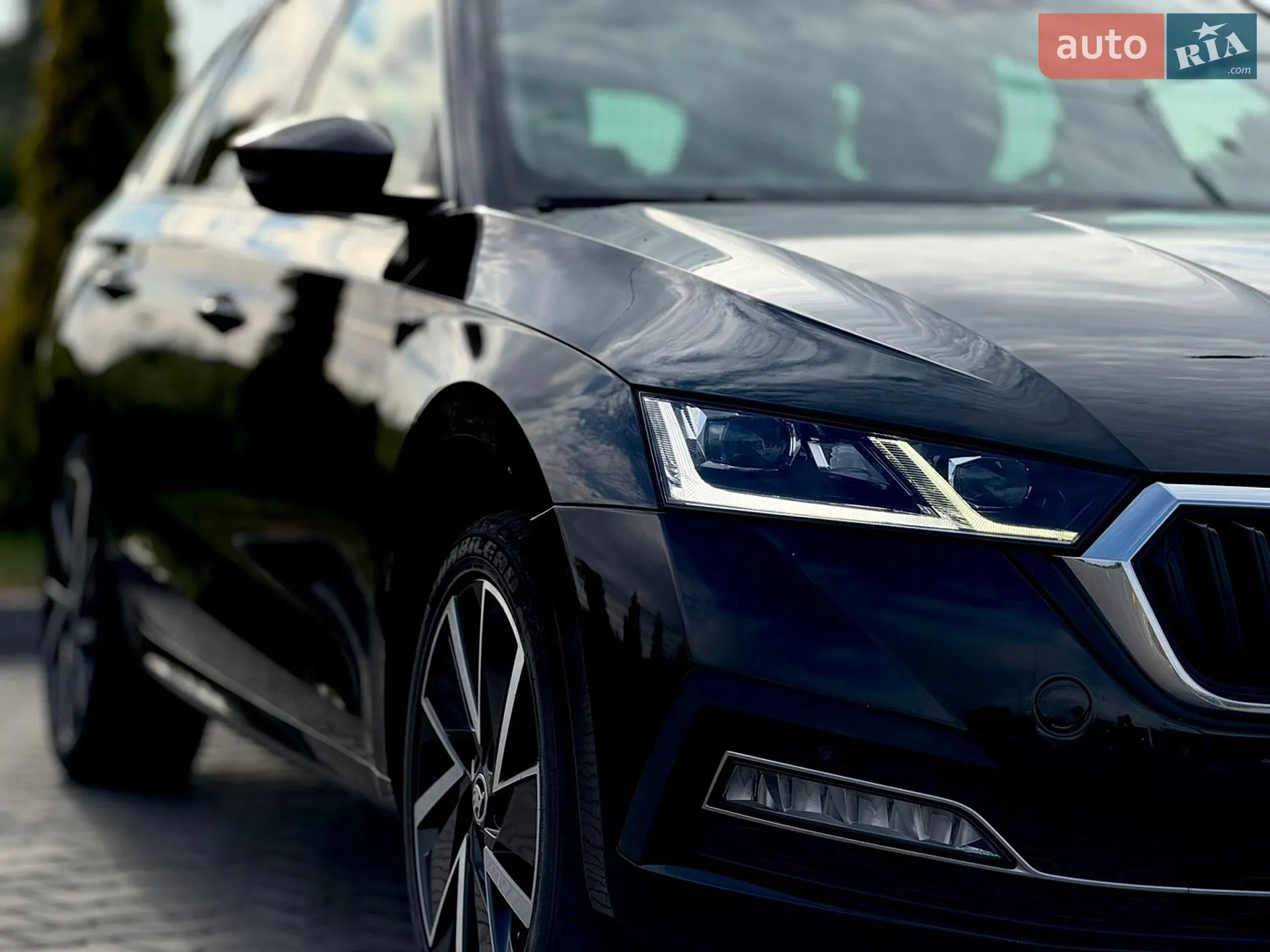 2021 Skoda Octavia - мініатюра 13
