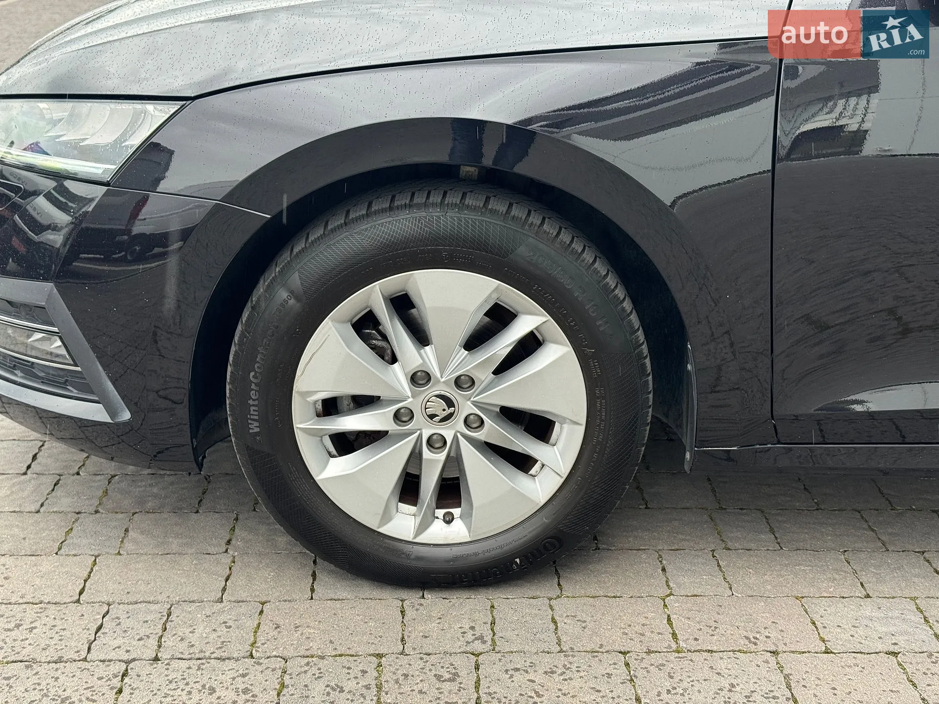 2020 Skoda Octavia - мініатюра 3