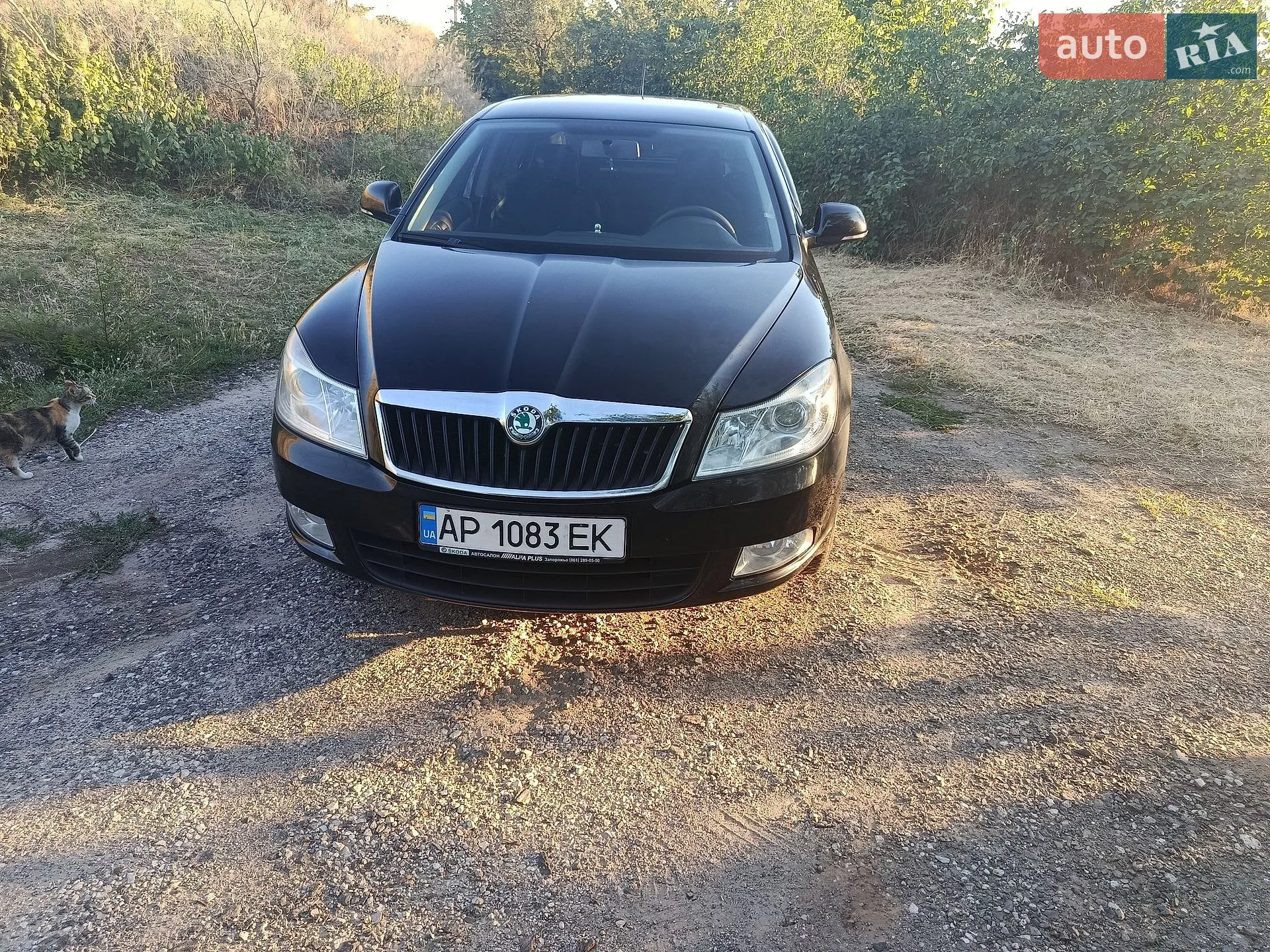 2011 Skoda Octavia - мініатюра 11