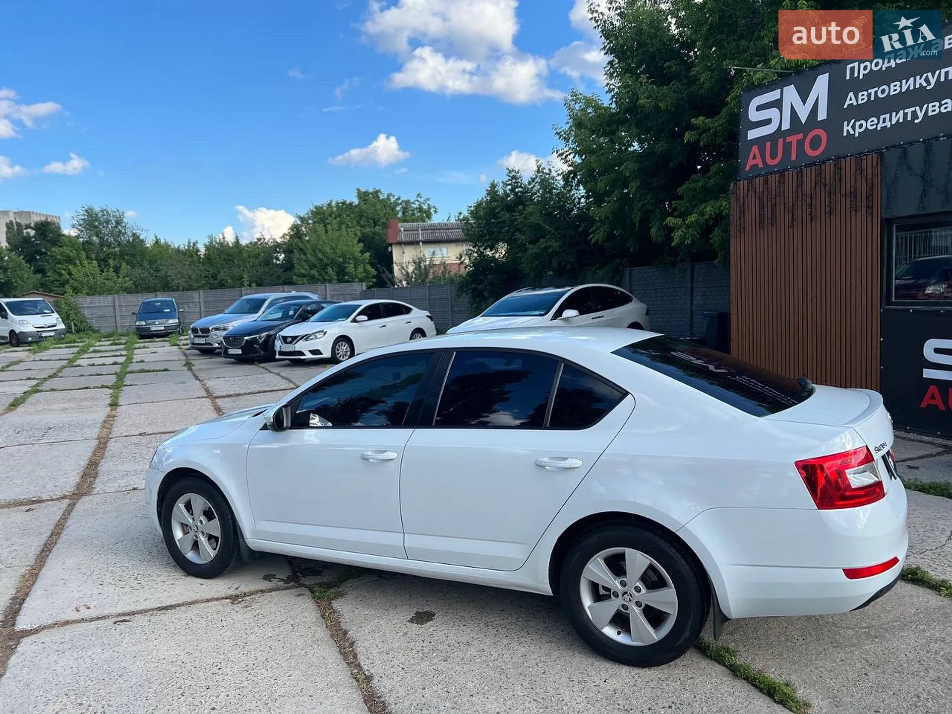 2014 Skoda Octavia - мініатюра 9