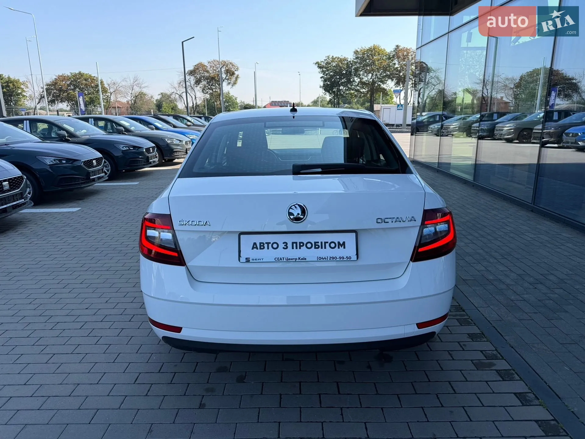2019 Skoda Octavia - мініатюра 10