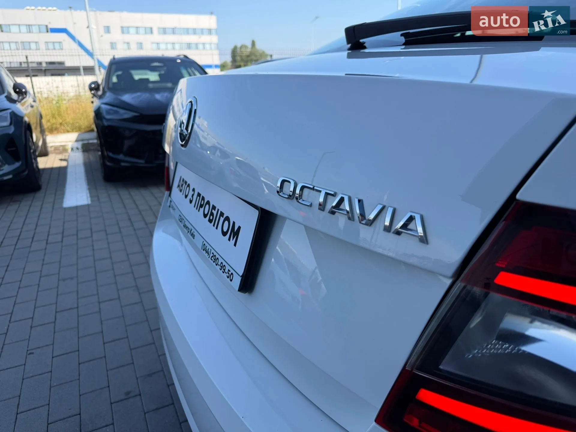 2019 Skoda Octavia - мініатюра 13