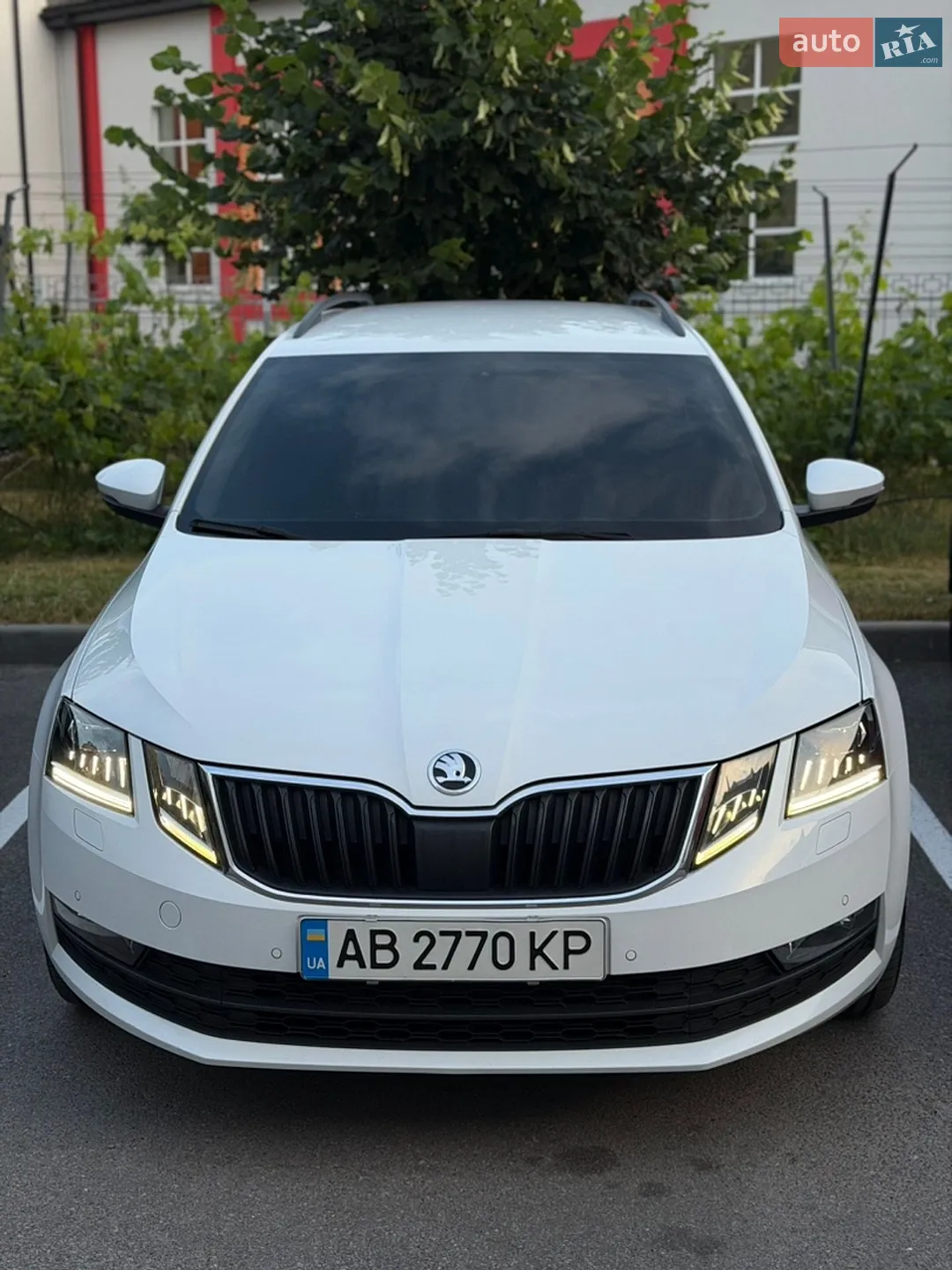 2019 Skoda Octavia - фото 1
