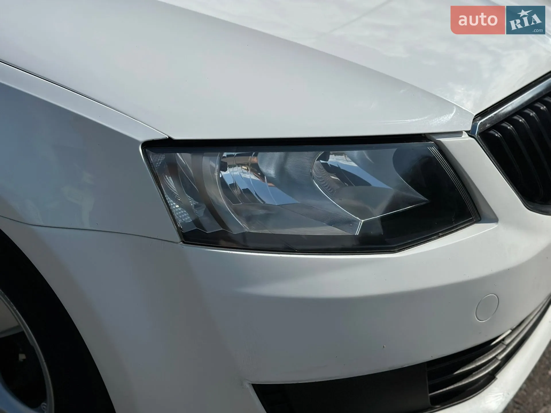 2016 Skoda Octavia - мініатюра 13