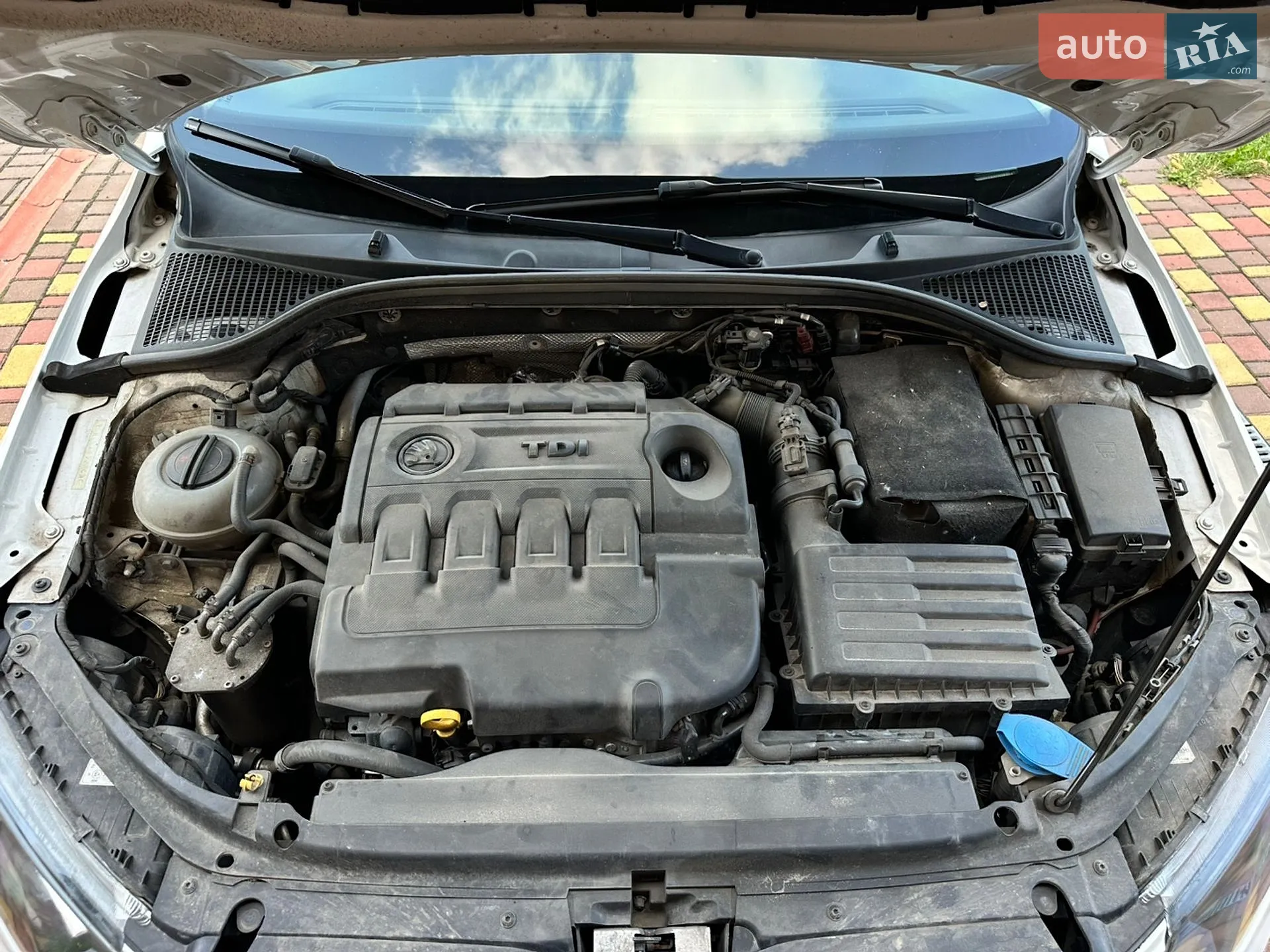 2016 Skoda Octavia - мініатюра 31