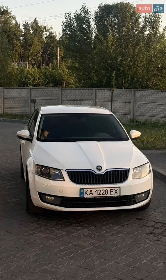 2016 Skoda Octavia - мініатюра 24