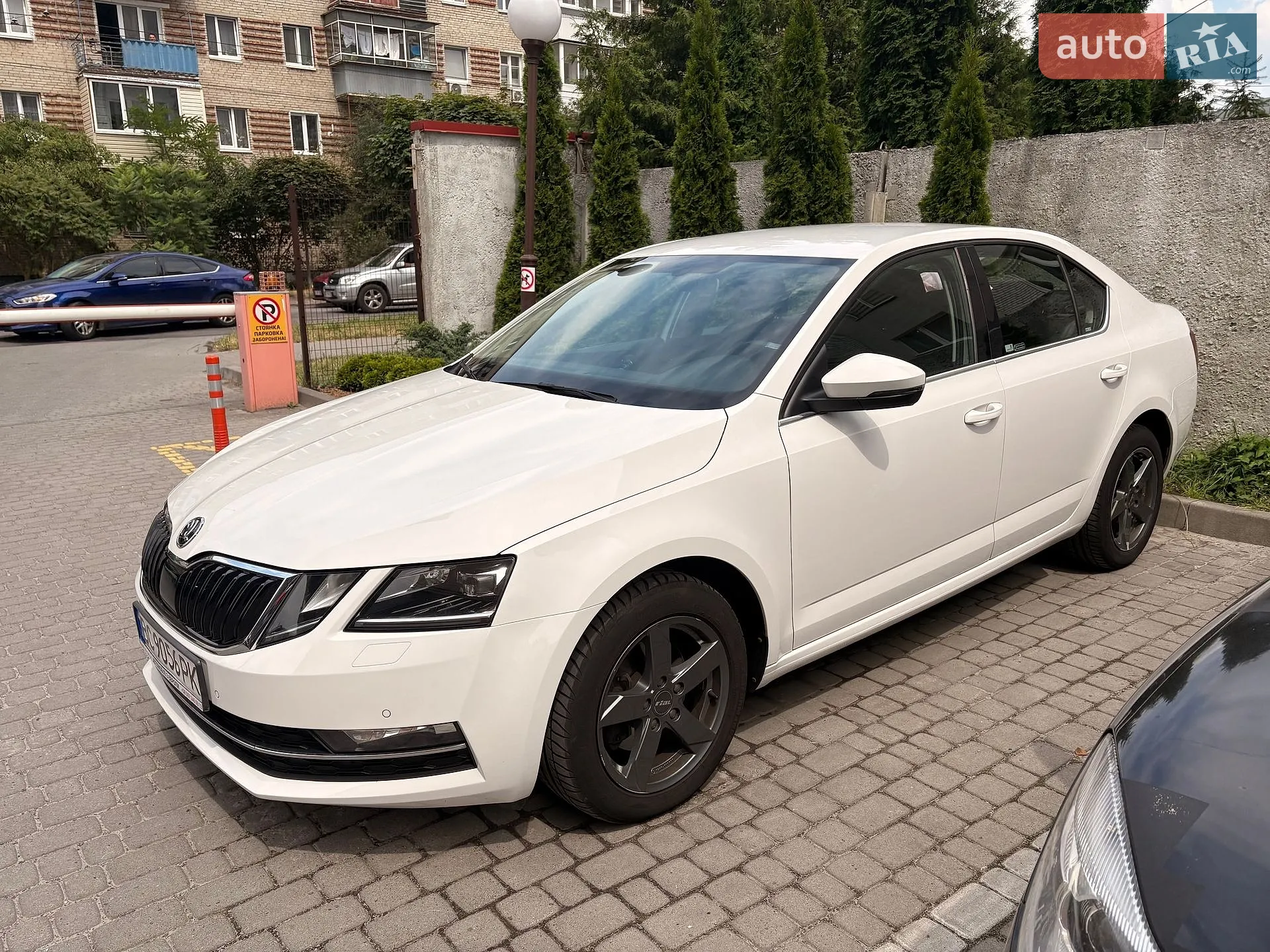 2018 Skoda Octavia - мініатюра 2