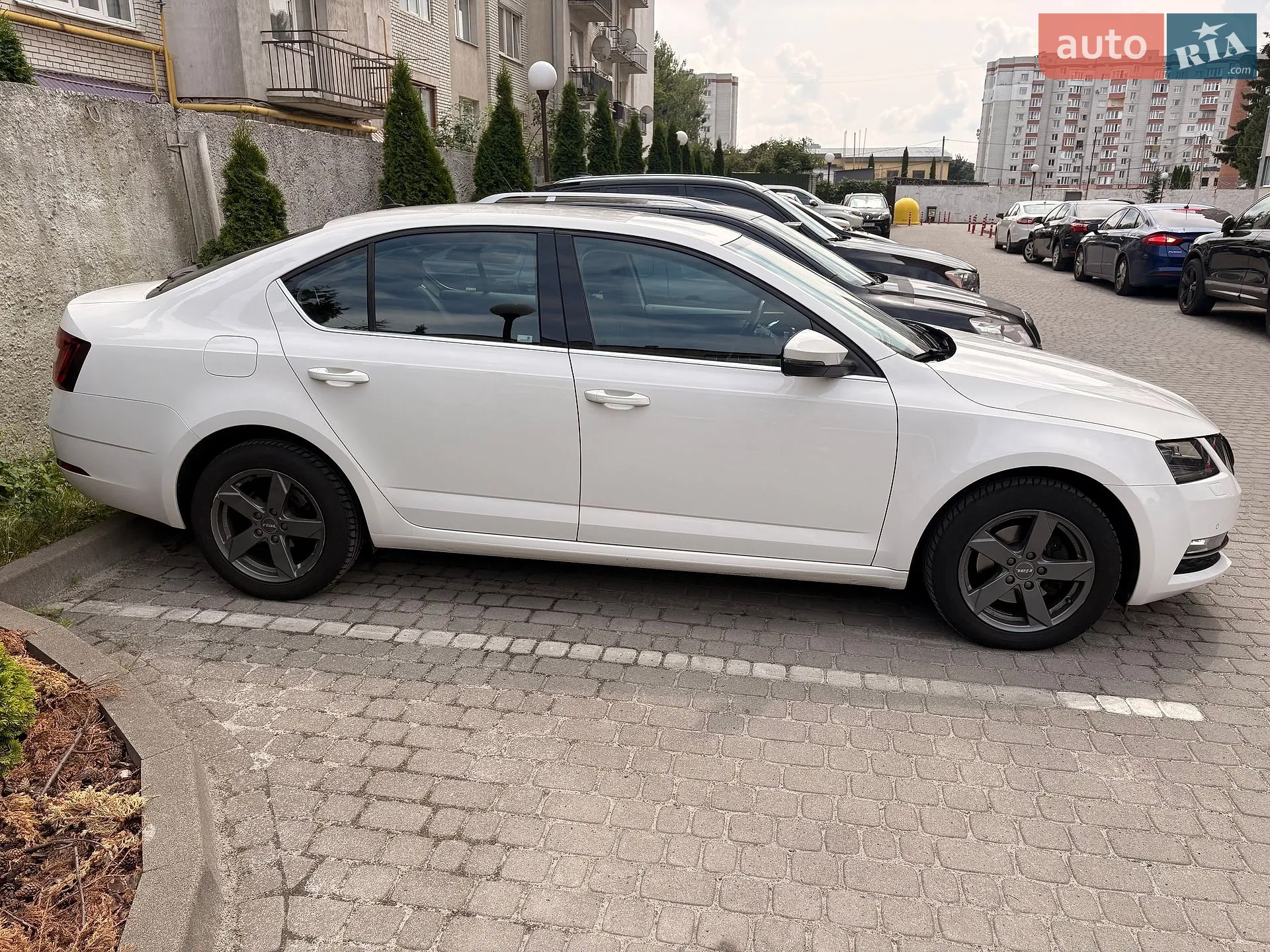 2018 Skoda Octavia - мініатюра 4