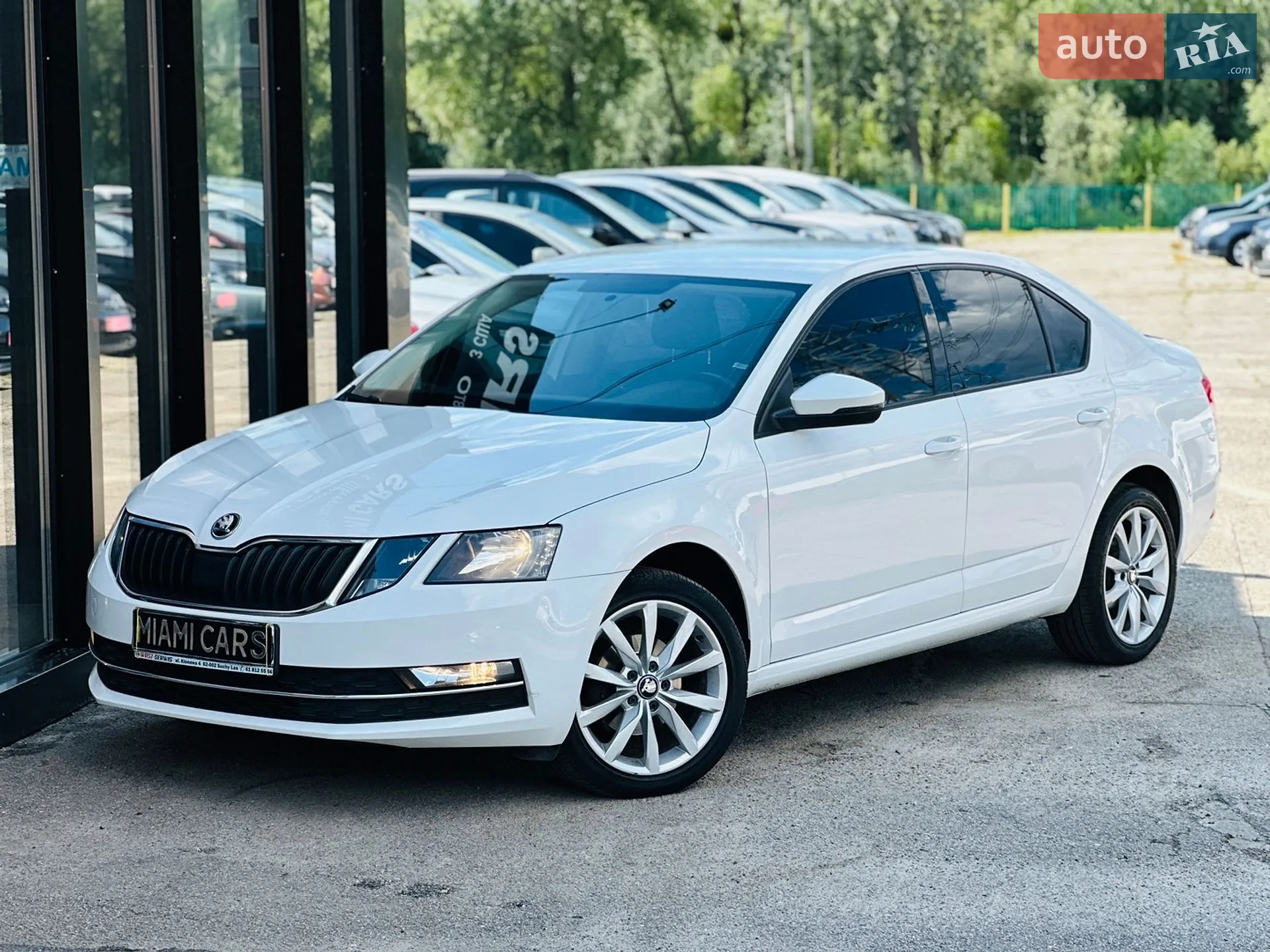 2019 Skoda Octavia - фото 1