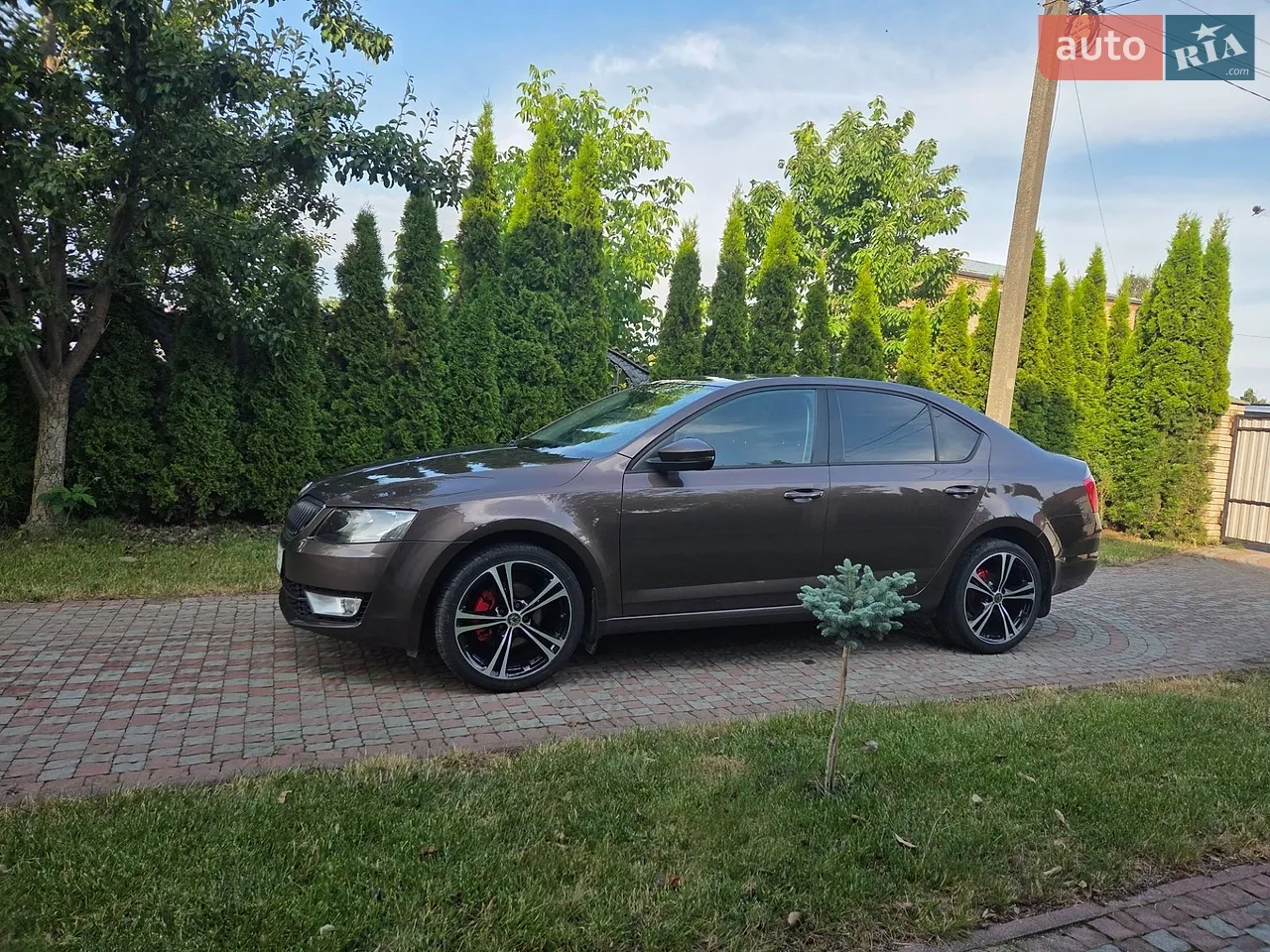 2013 Skoda Octavia - мініатюра 39