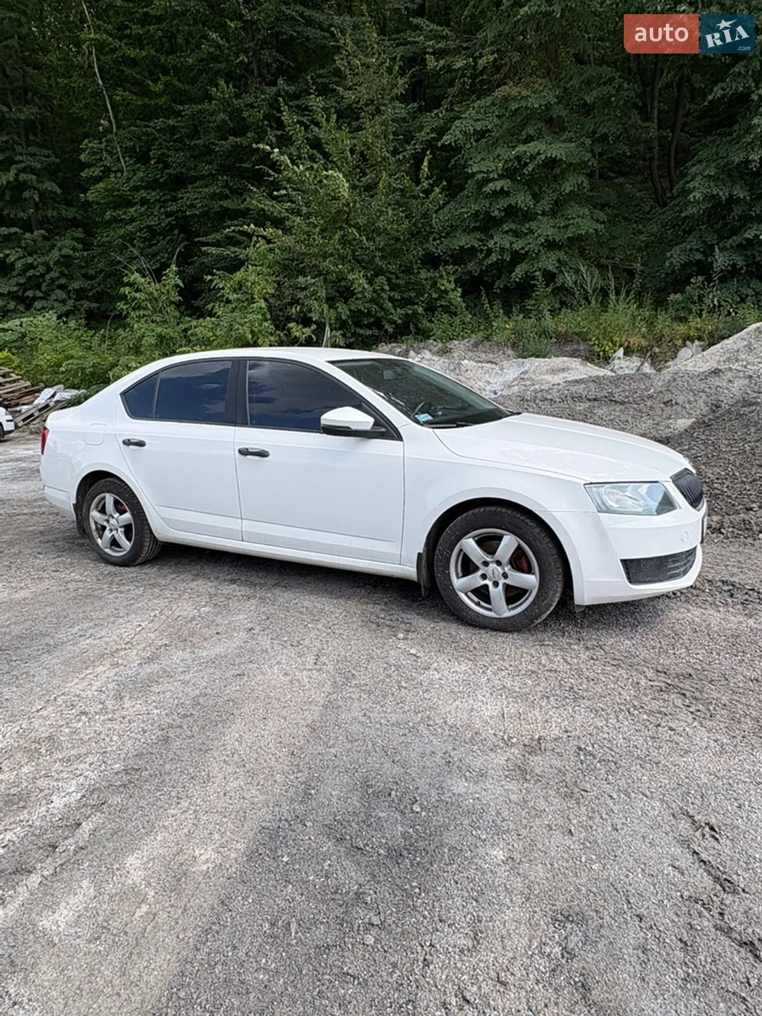 2013 Skoda Octavia - мініатюра 12