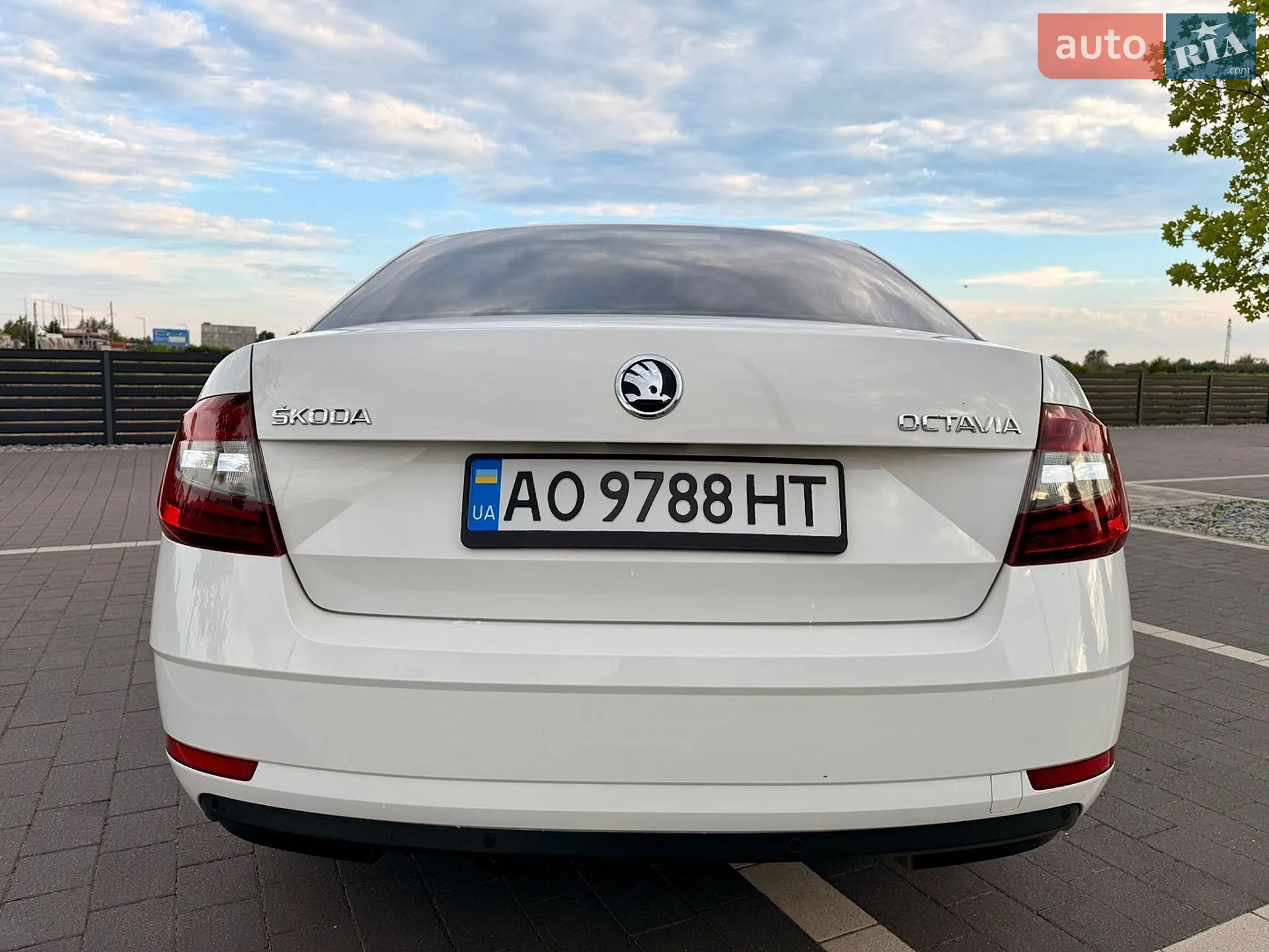 2017 Skoda Octavia - мініатюра 14