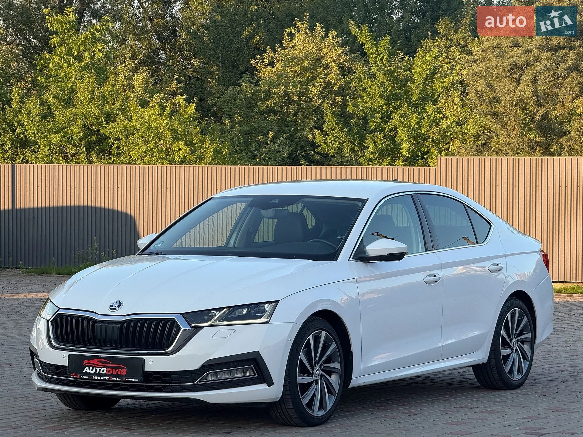 2020 Skoda Octavia - мініатюра 8