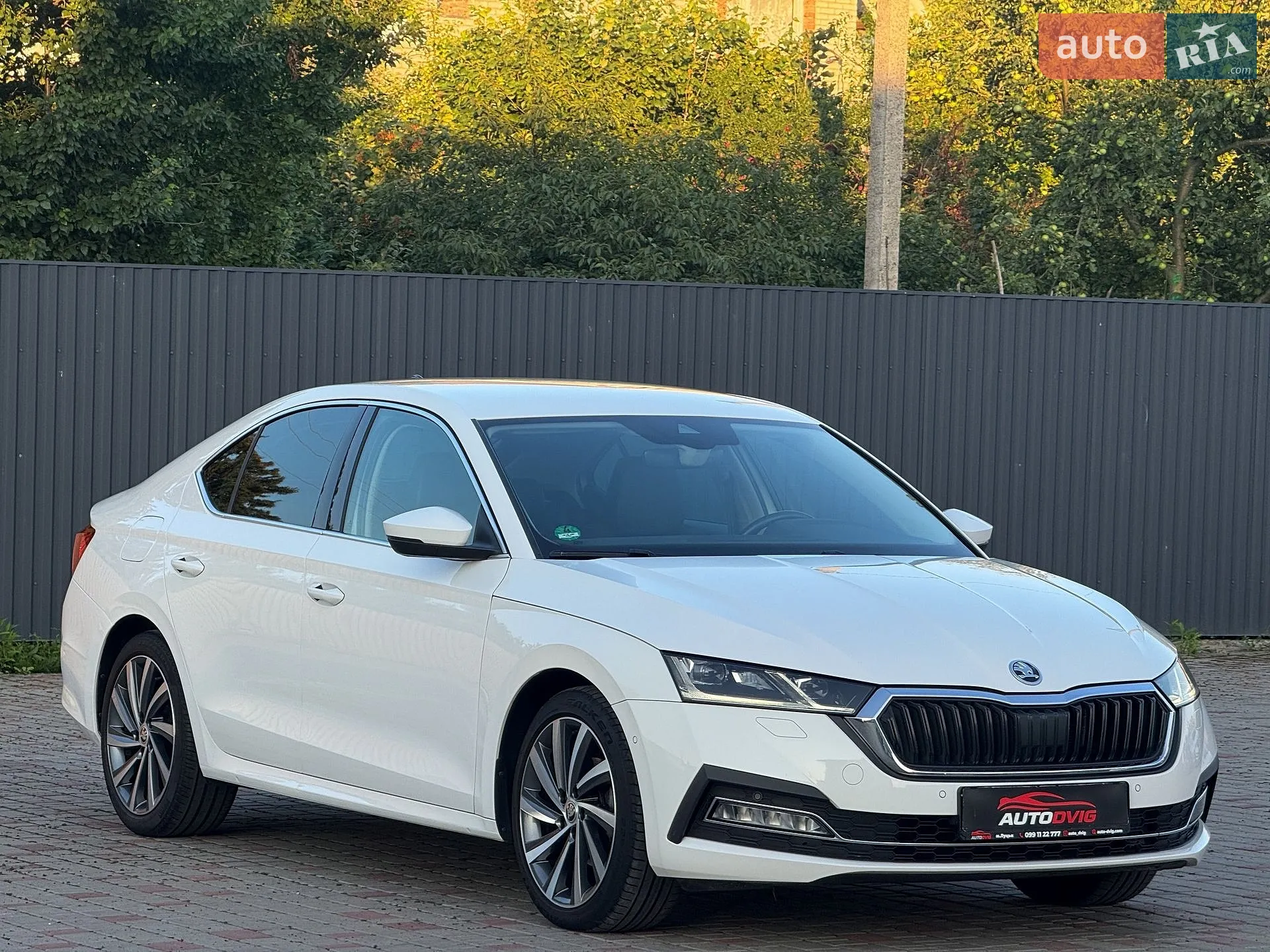 2020 Skoda Octavia - мініатюра 2