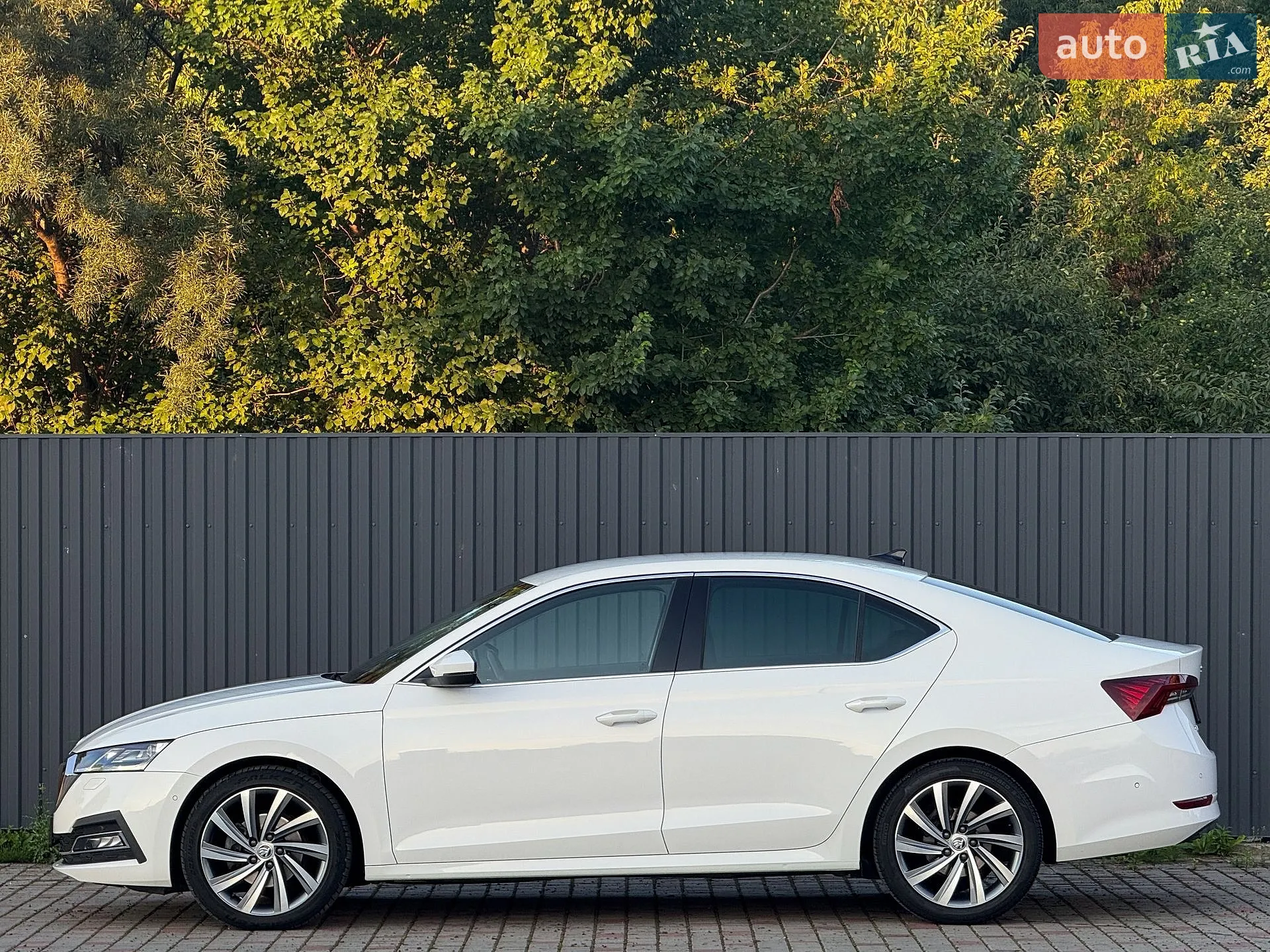 2020 Skoda Octavia - мініатюра 7
