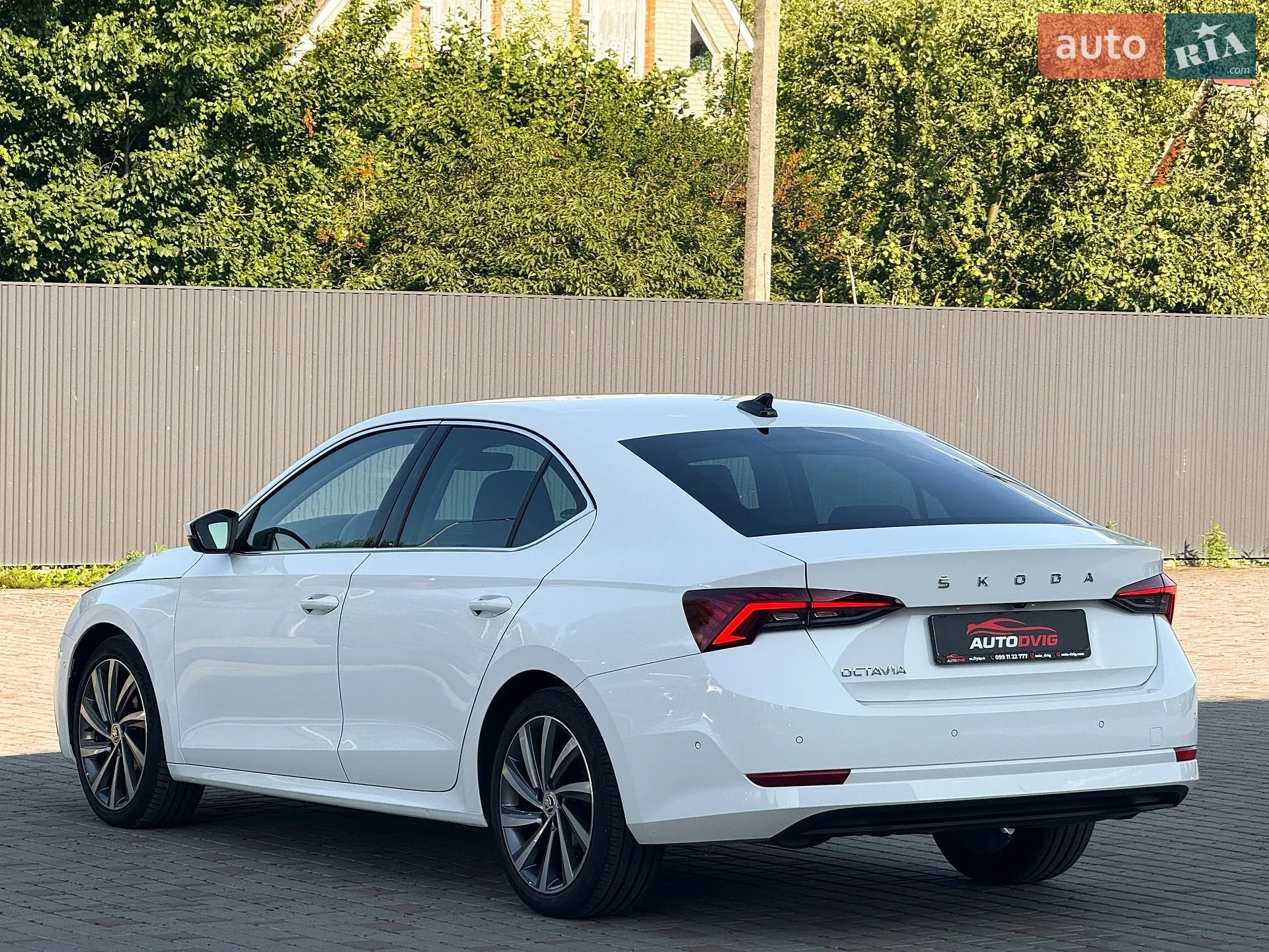 2020 Skoda Octavia - мініатюра 6
