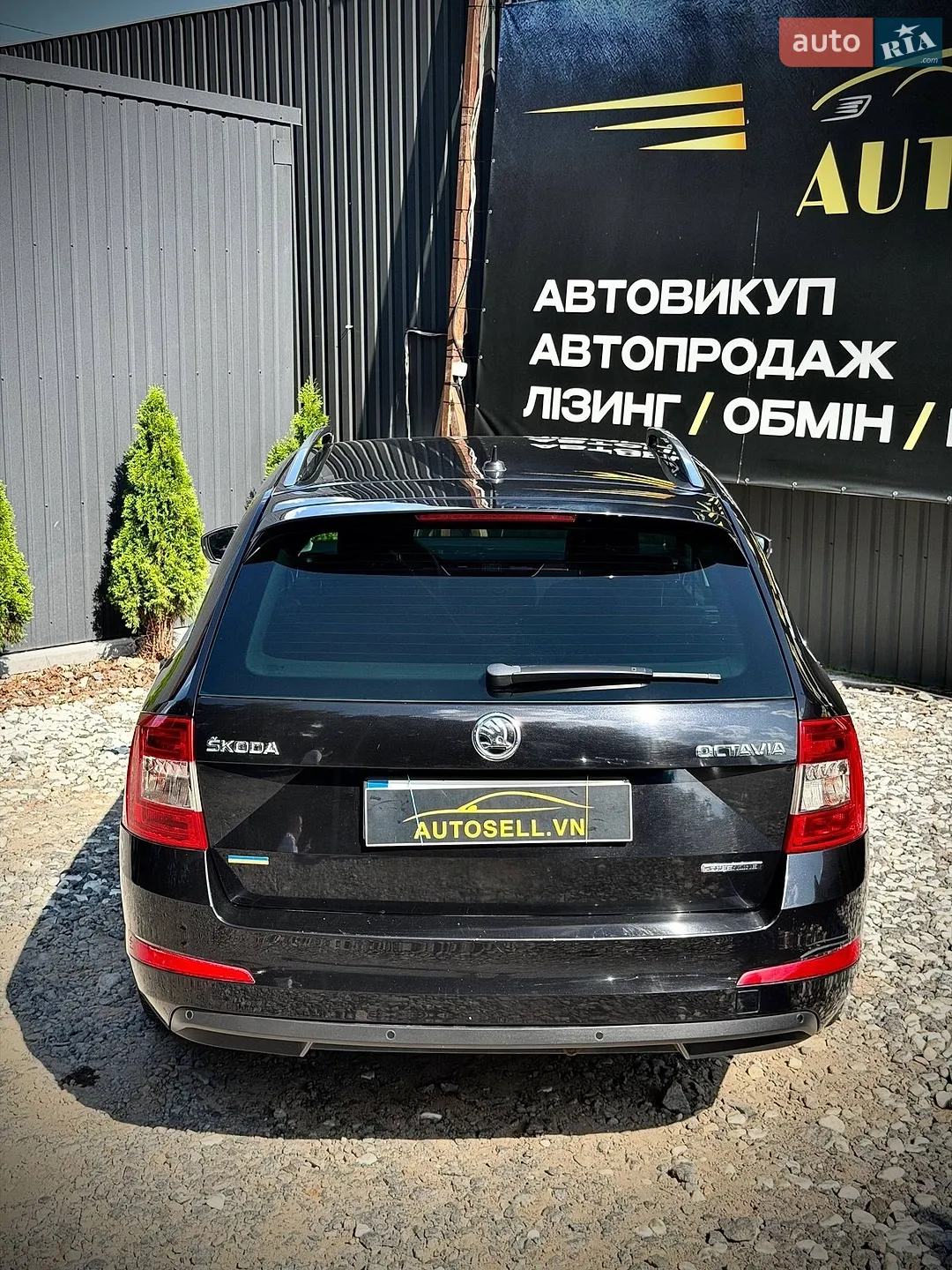 2014 Skoda Octavia - мініатюра 5