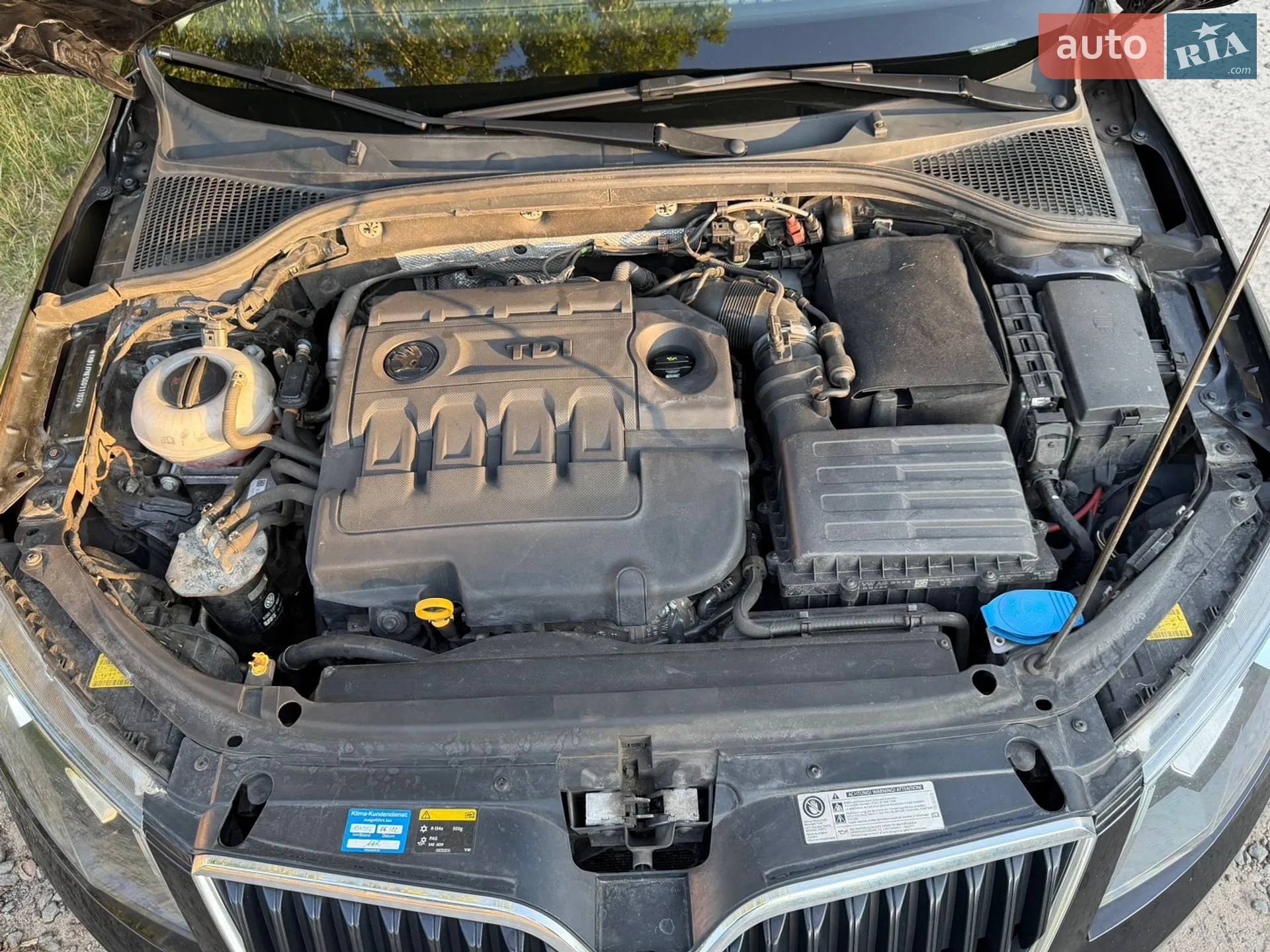 2015 Skoda Octavia - мініатюра 81