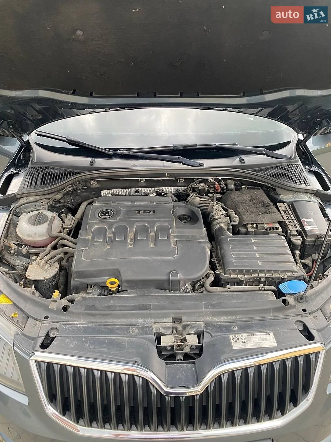 2016 Skoda Octavia - мініатюра 24