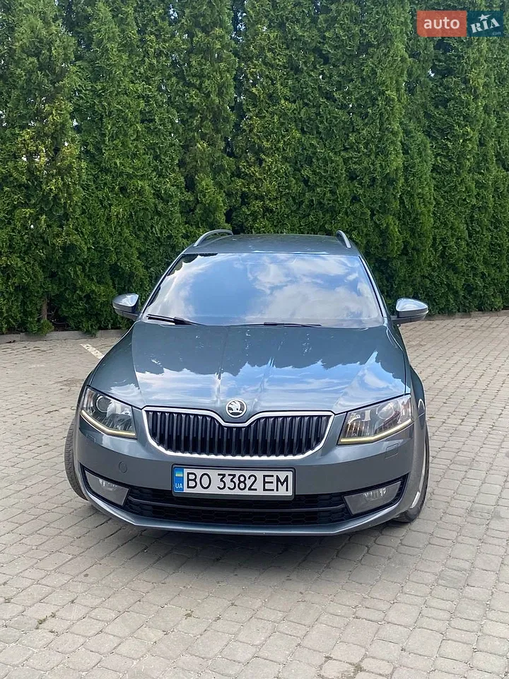 2017 Skoda Octavia - мініатюра 22