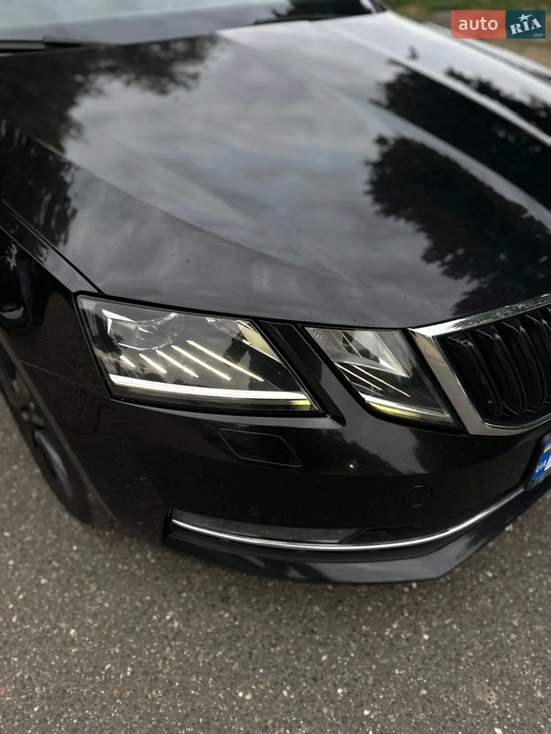 2019 Skoda Octavia - мініатюра 10