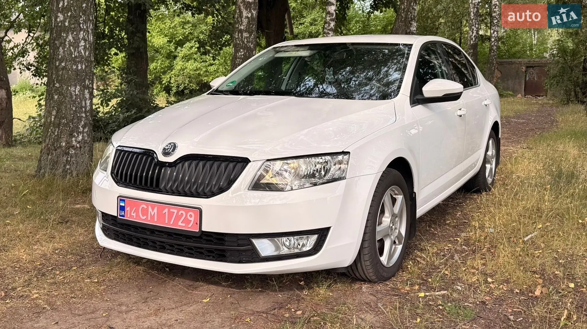 2017 Skoda Octavia - фото 1