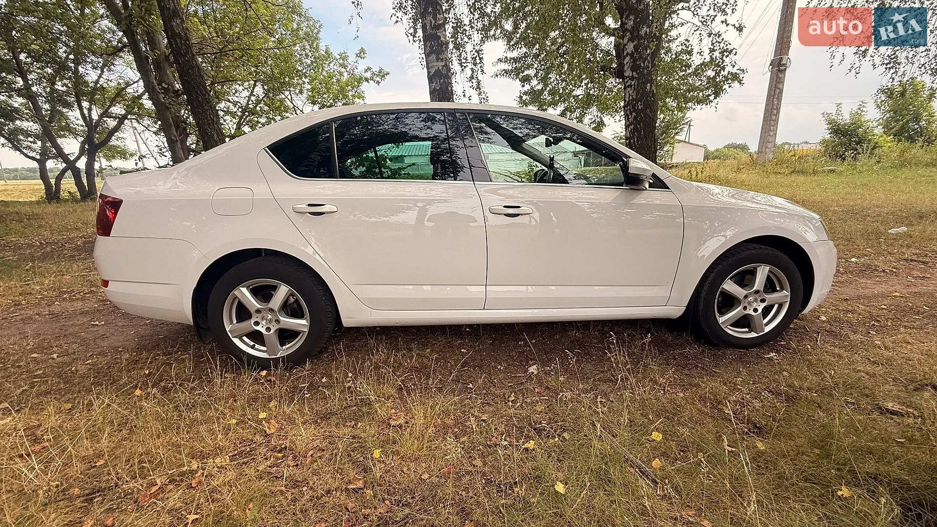 2017 Skoda Octavia - мініатюра 5